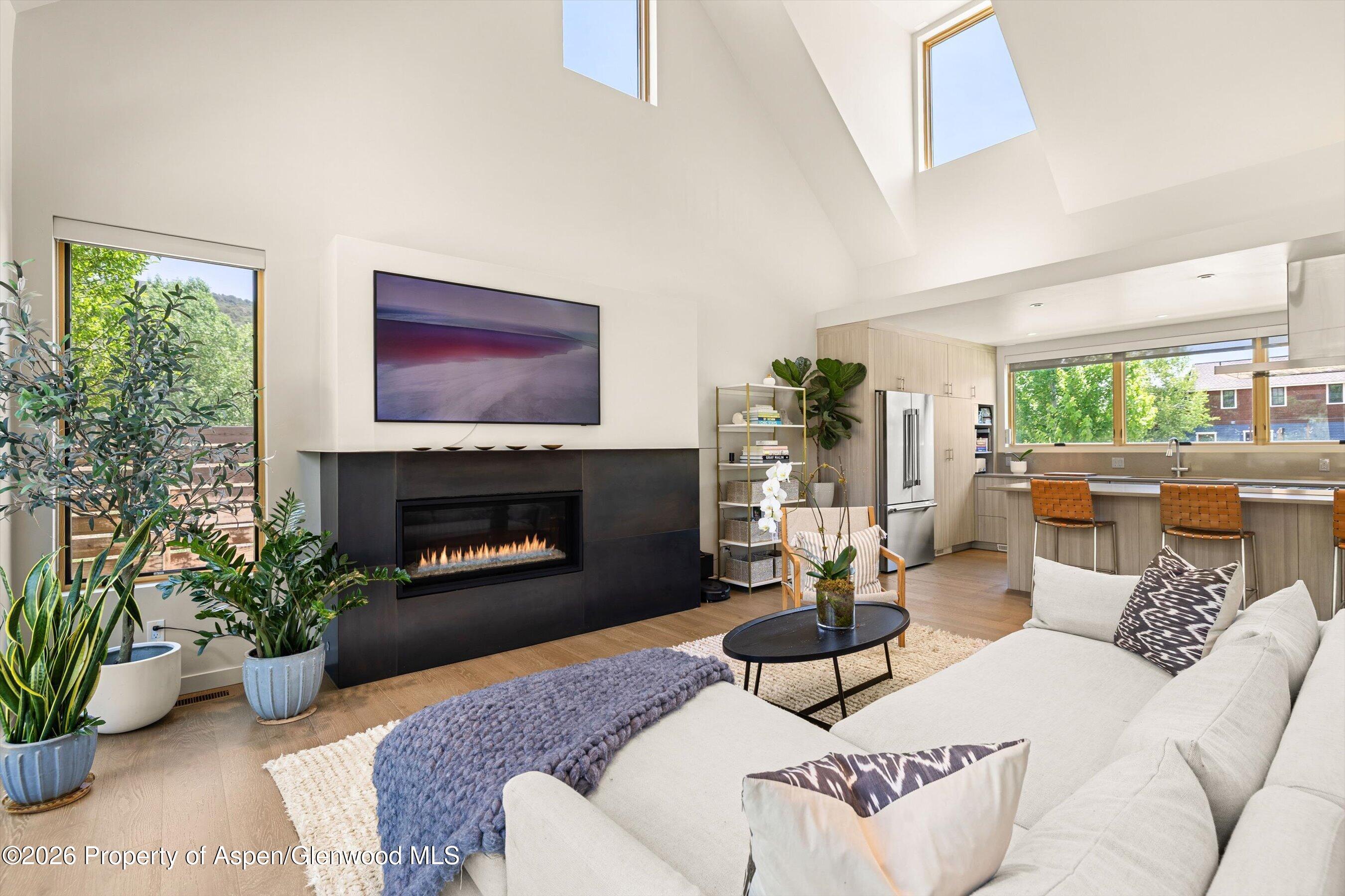 113 Valley Court Basalt CO 81621