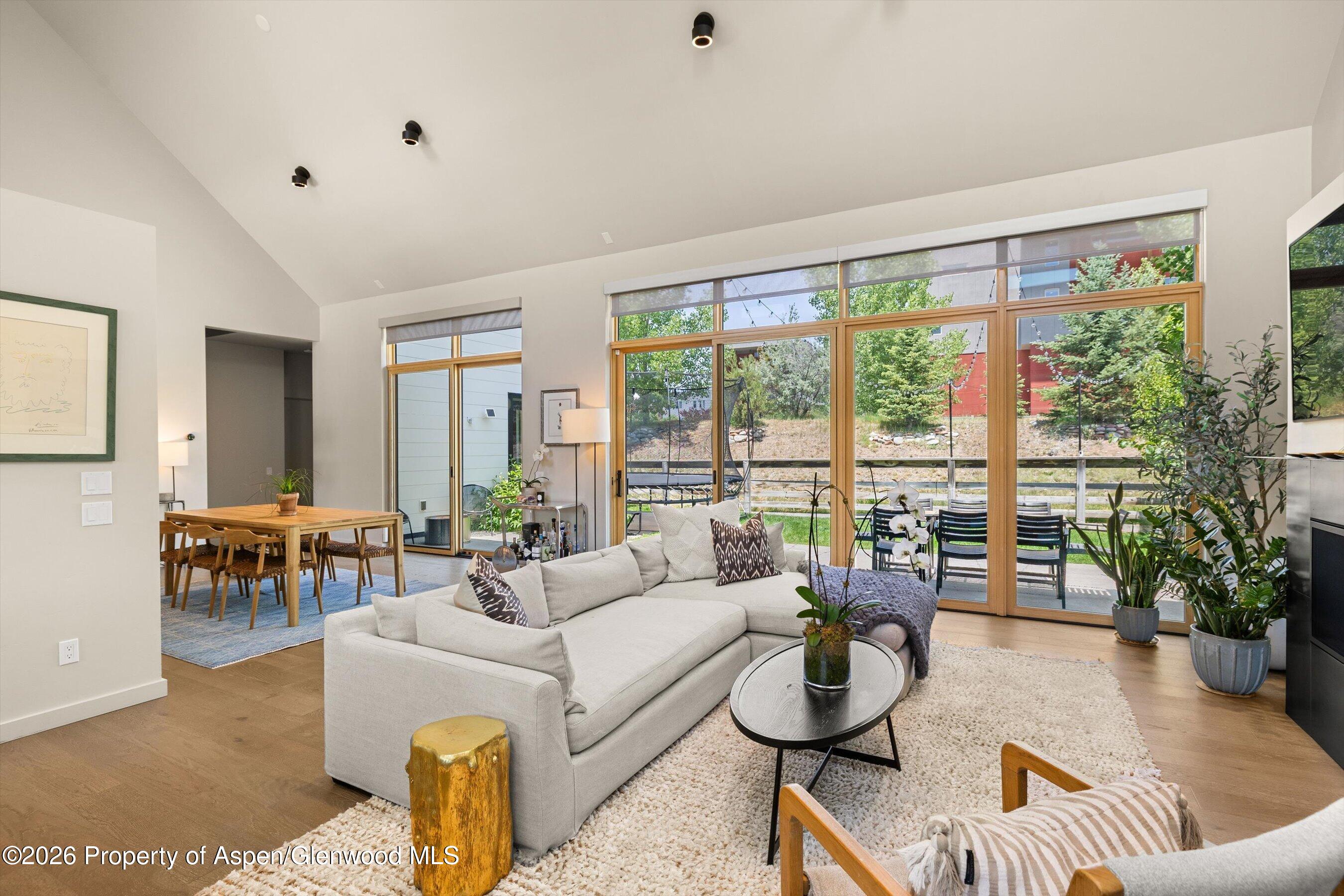 113 Valley Court Basalt CO 81621