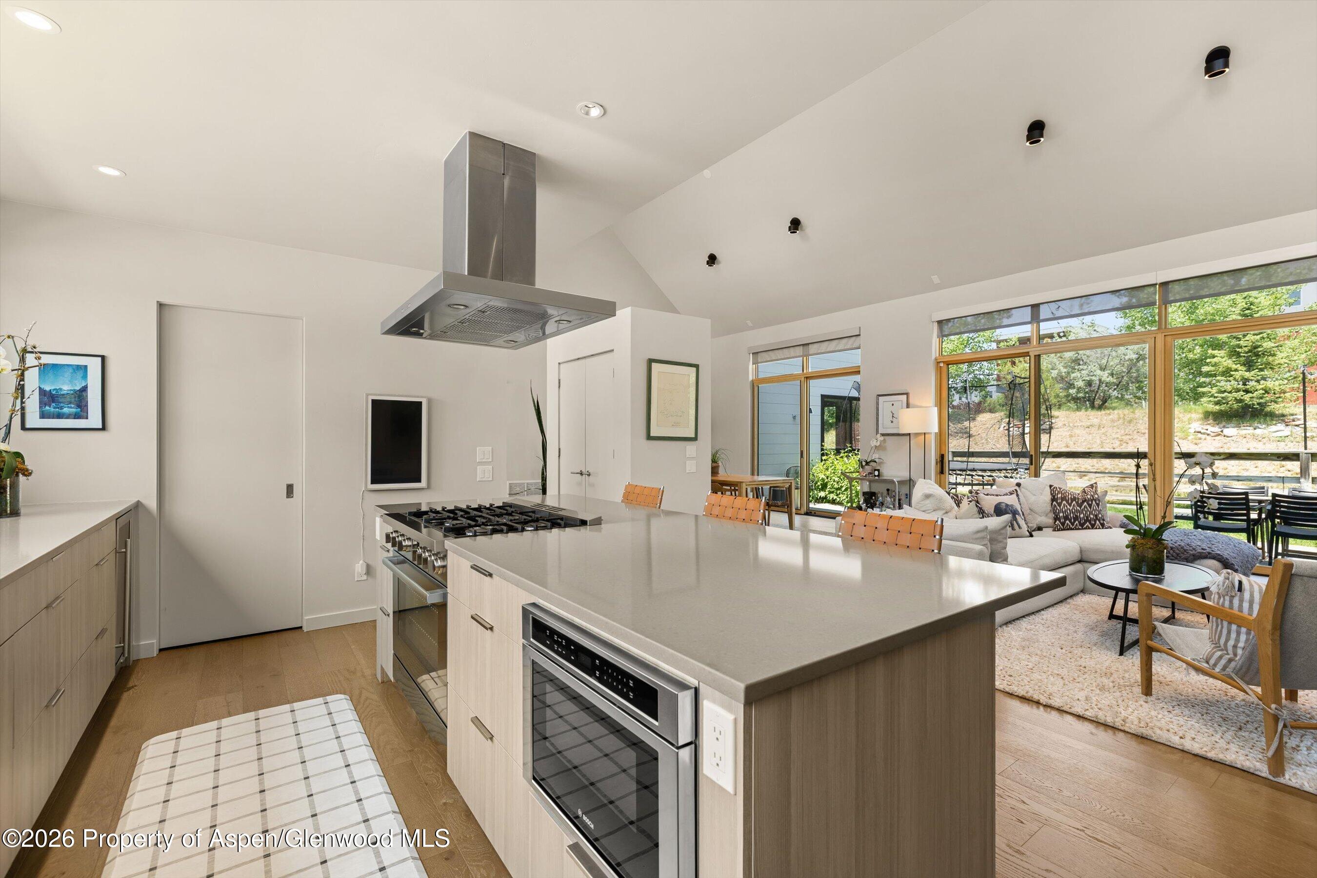 113 Valley Court Basalt CO 81621