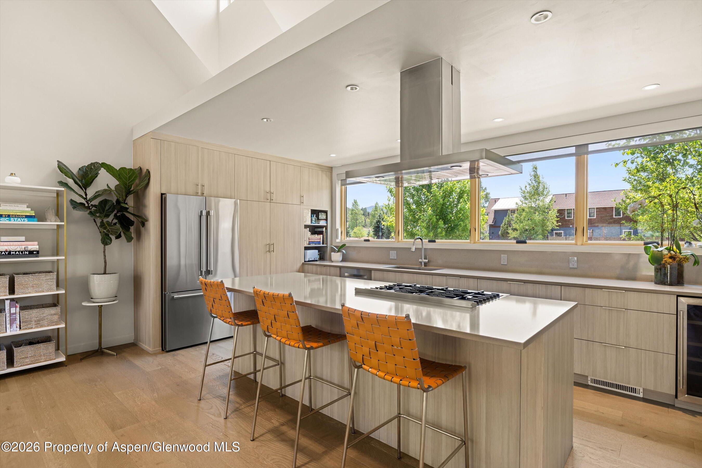 113 Valley Court Basalt CO 81621