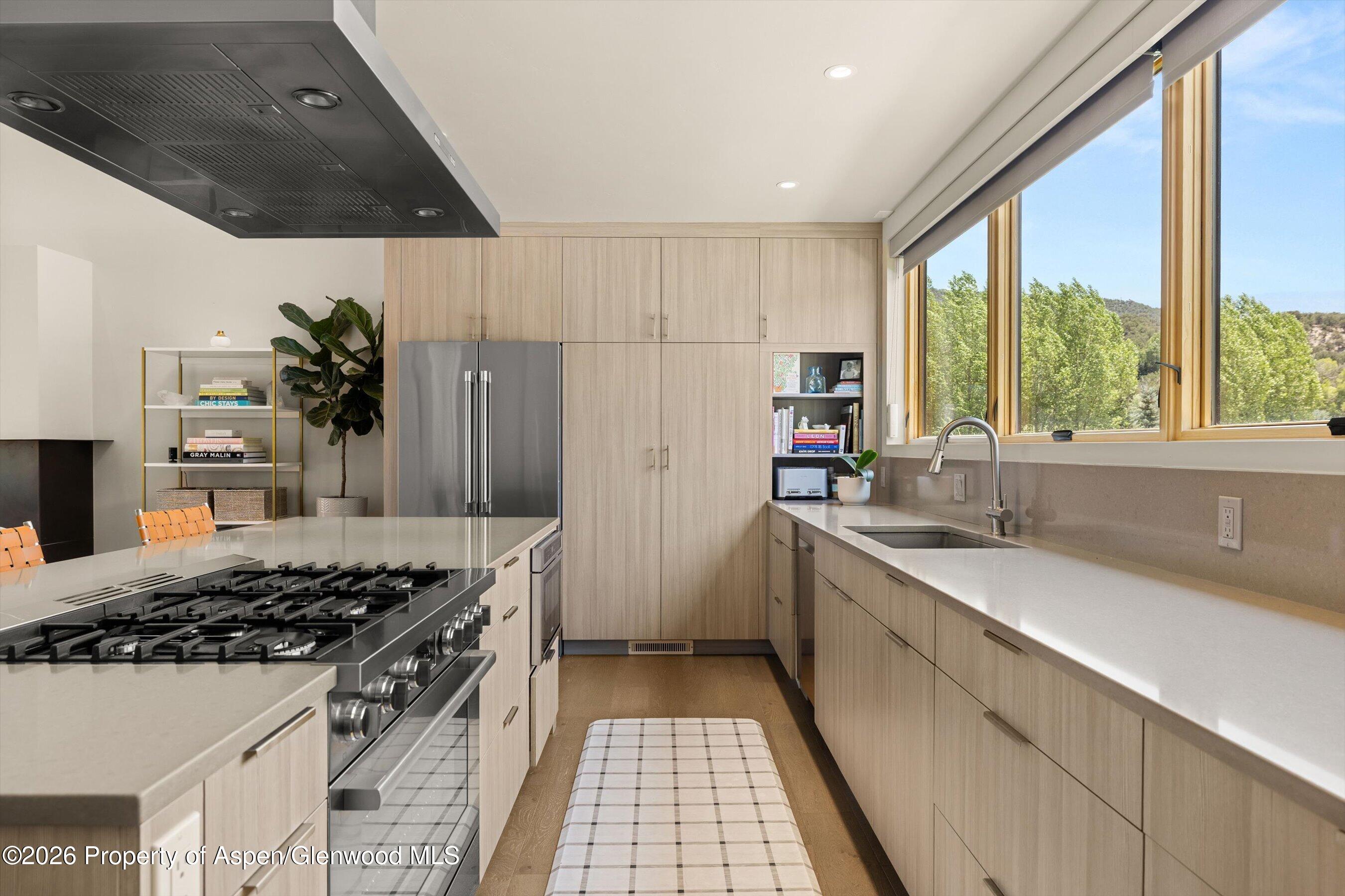 113 Valley Court Basalt CO 81621
