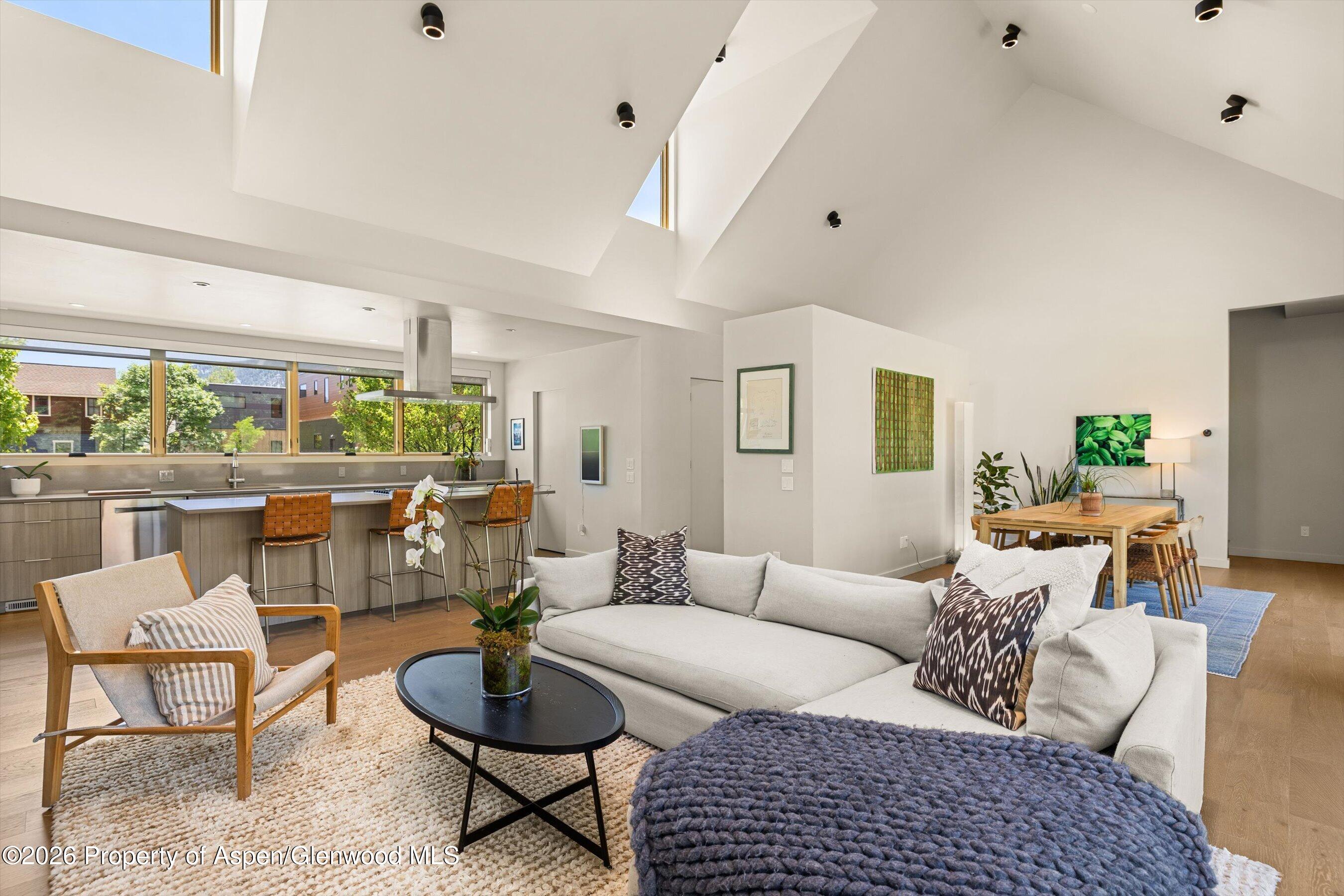 113 Valley Court Basalt CO 81621