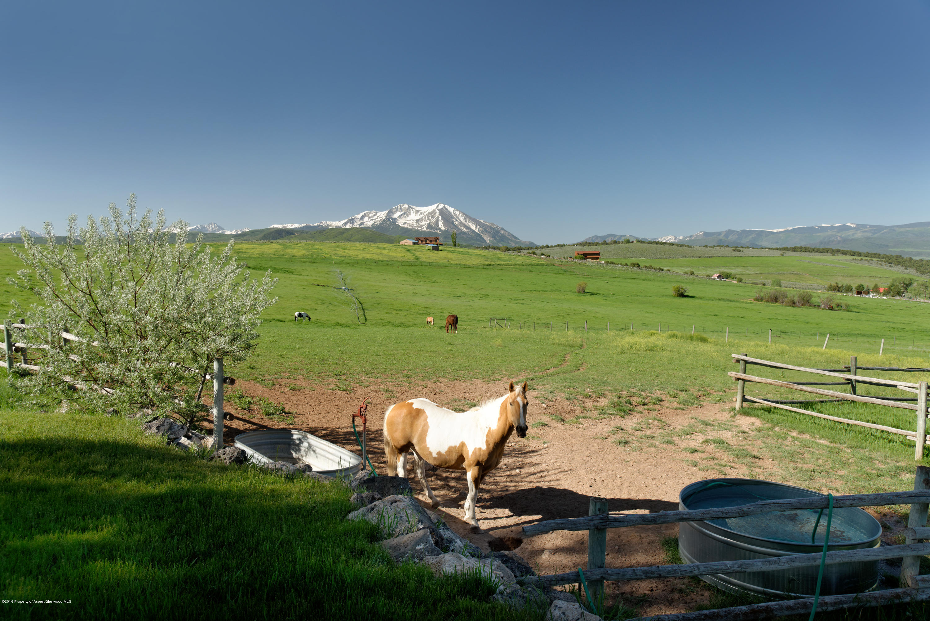 890 County Road 102 Carbondale CO 81623