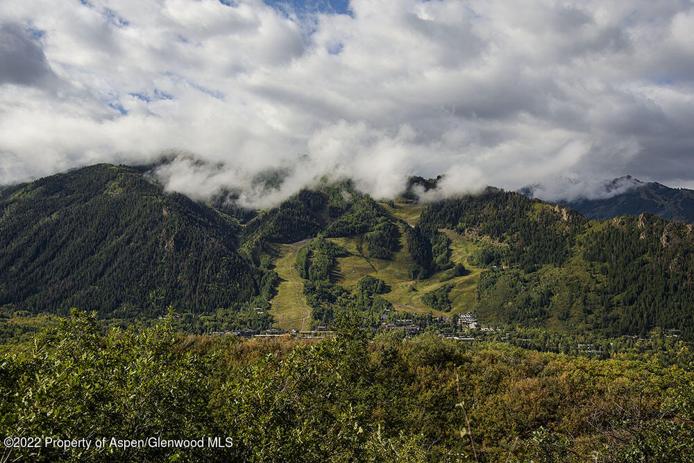 352 E Reds Road Aspen CO 81611