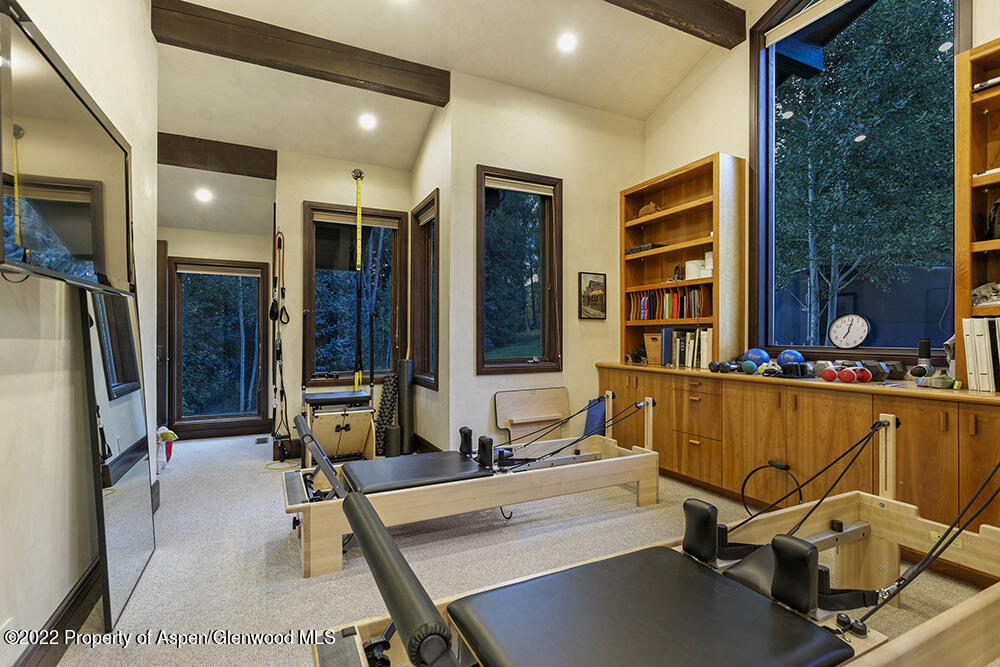 352 E Reds Road Aspen CO 81611