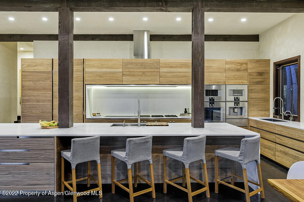 352 E Reds Road Aspen CO 81611