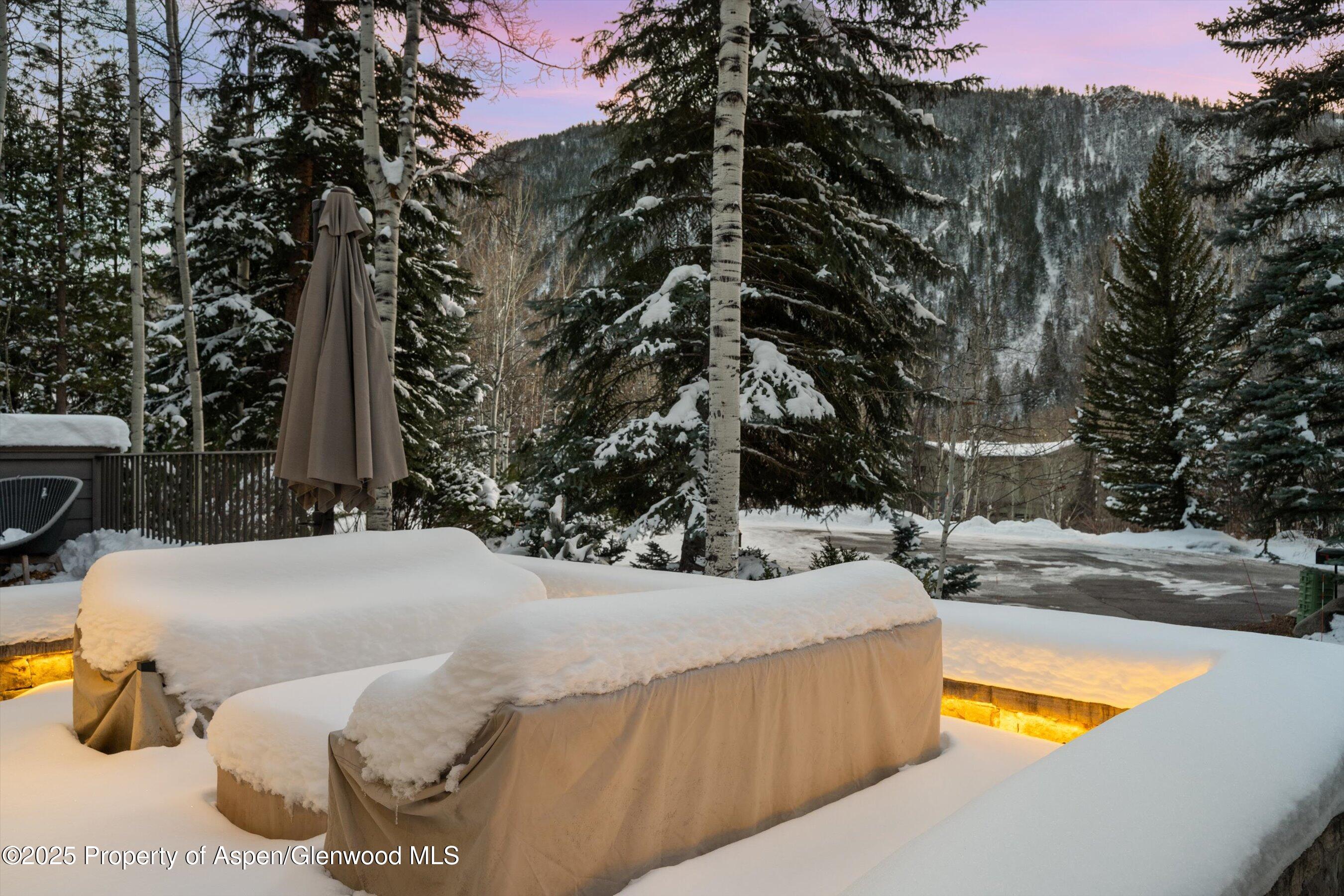 1345 Mayflower Court Aspen CO 81611