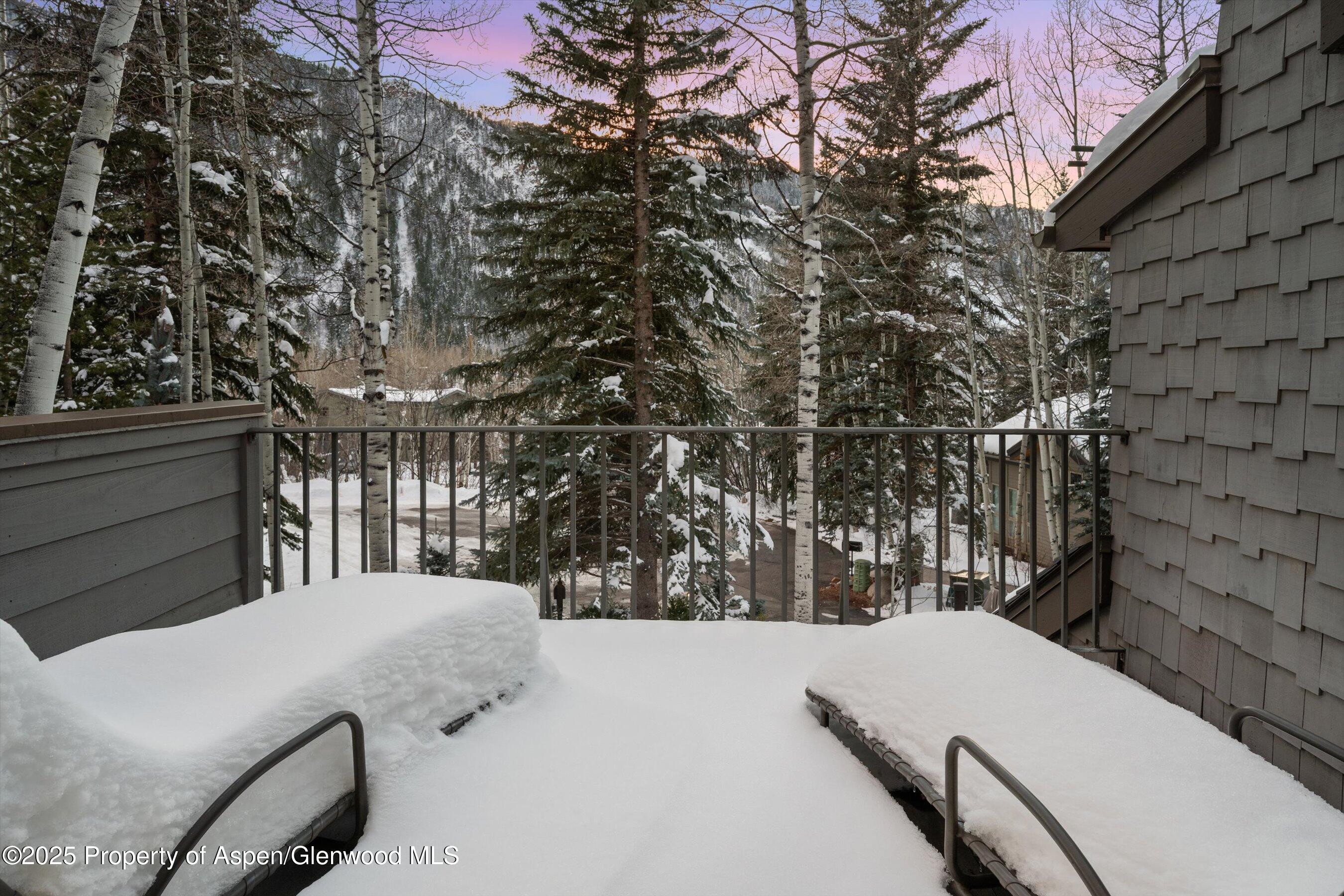 1345 Mayflower Court Aspen CO 81611