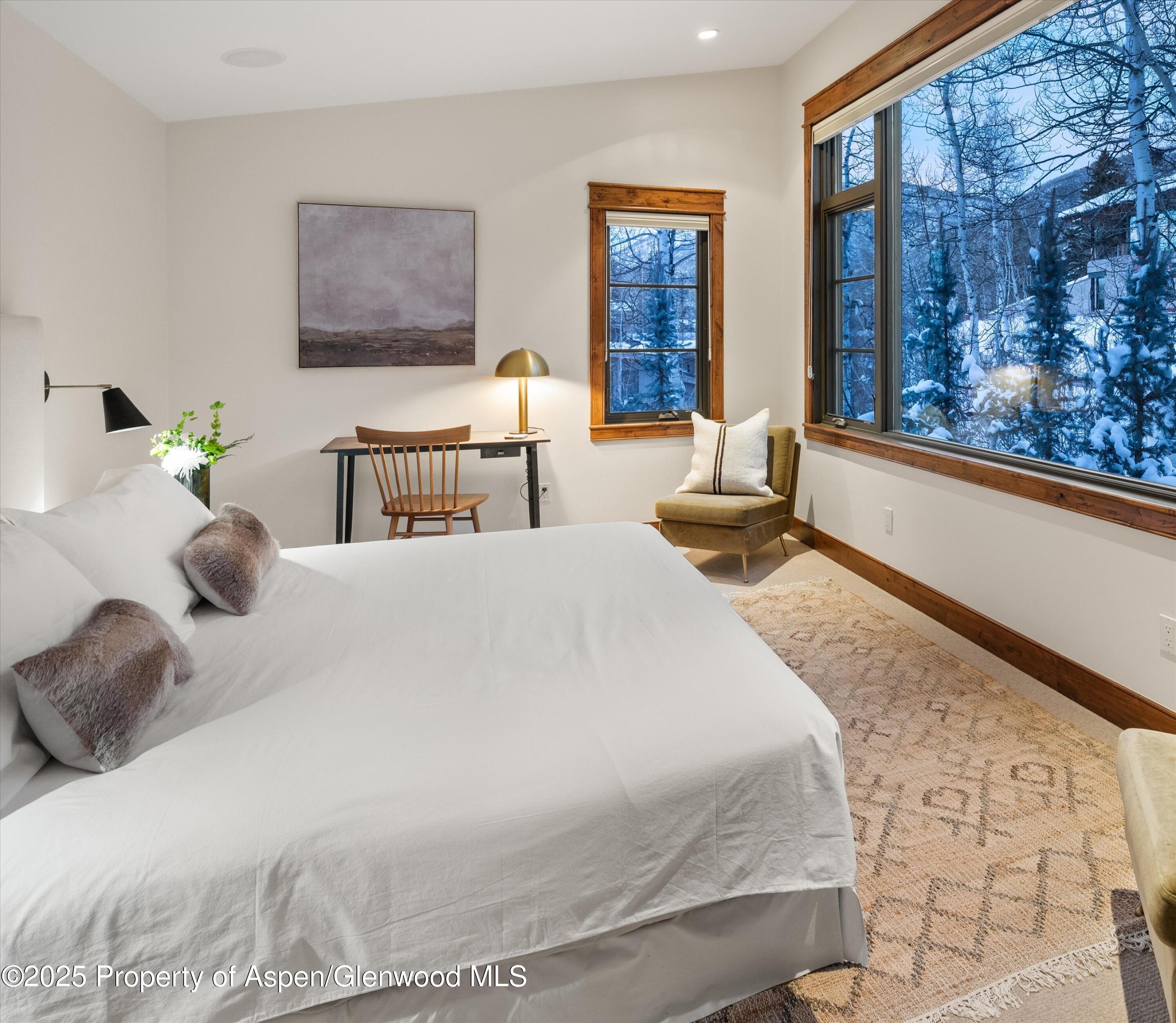 1345 Mayflower Court Aspen CO 81611
