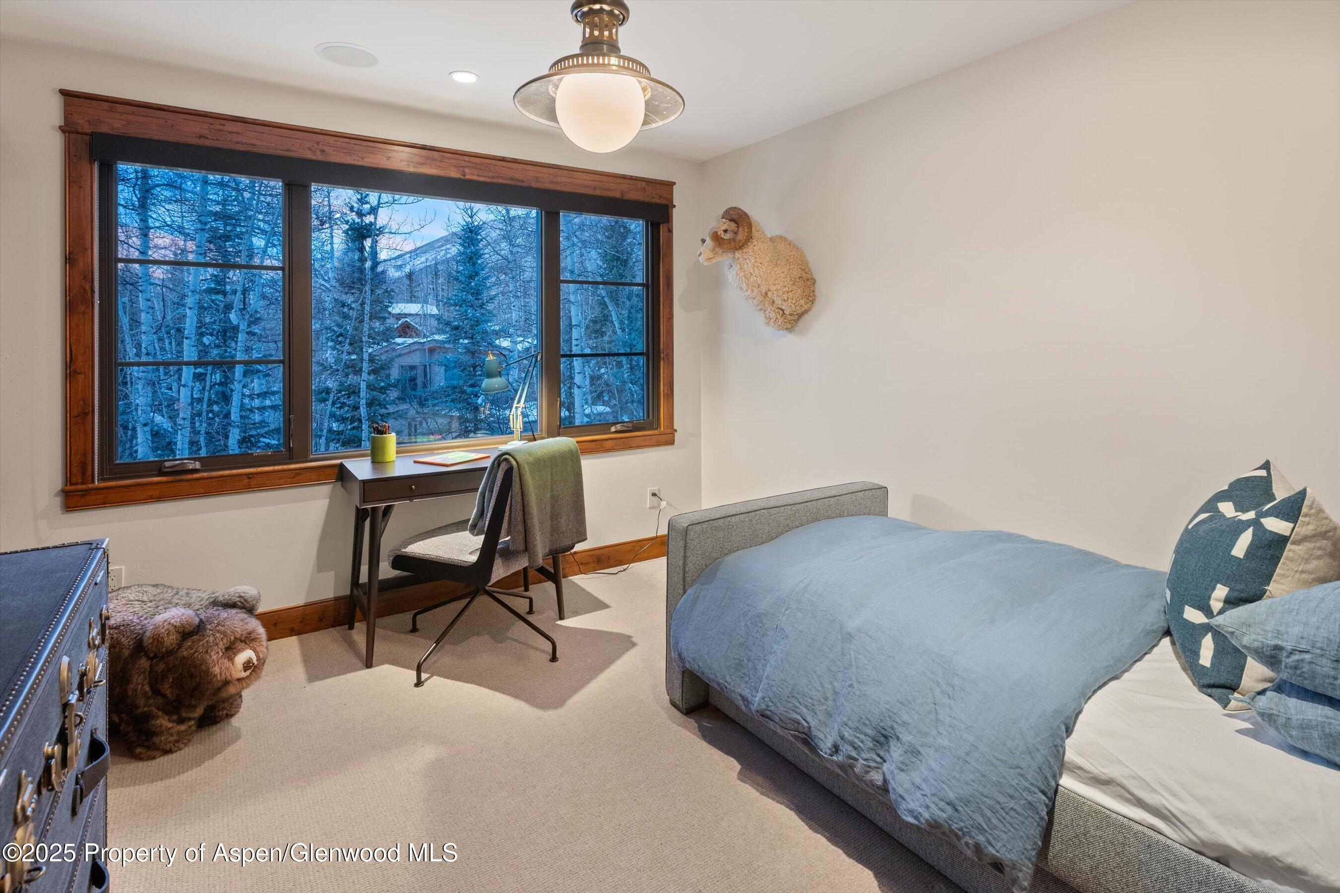 1345 Mayflower Court Aspen CO 81611