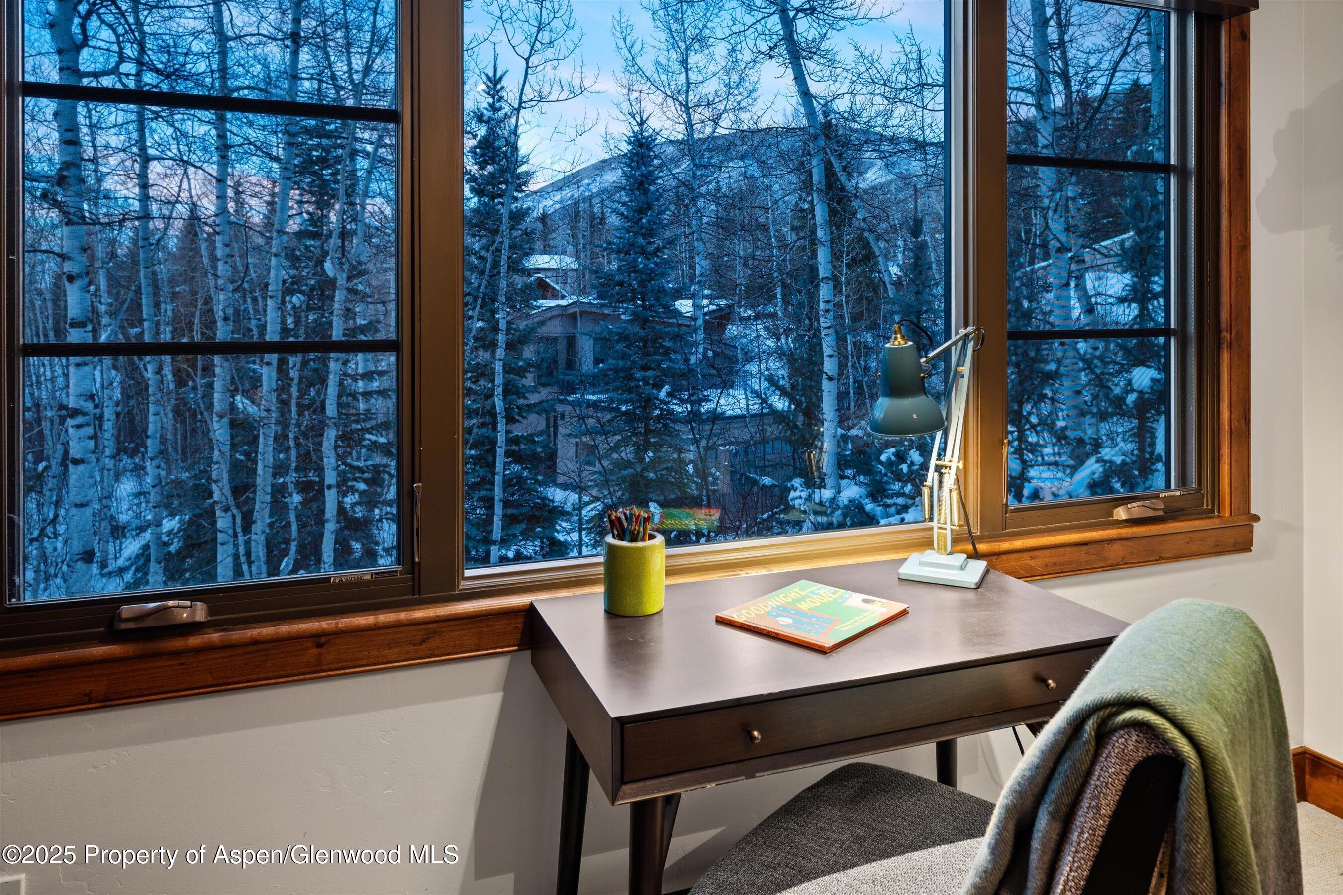 1345 Mayflower Court Aspen CO 81611