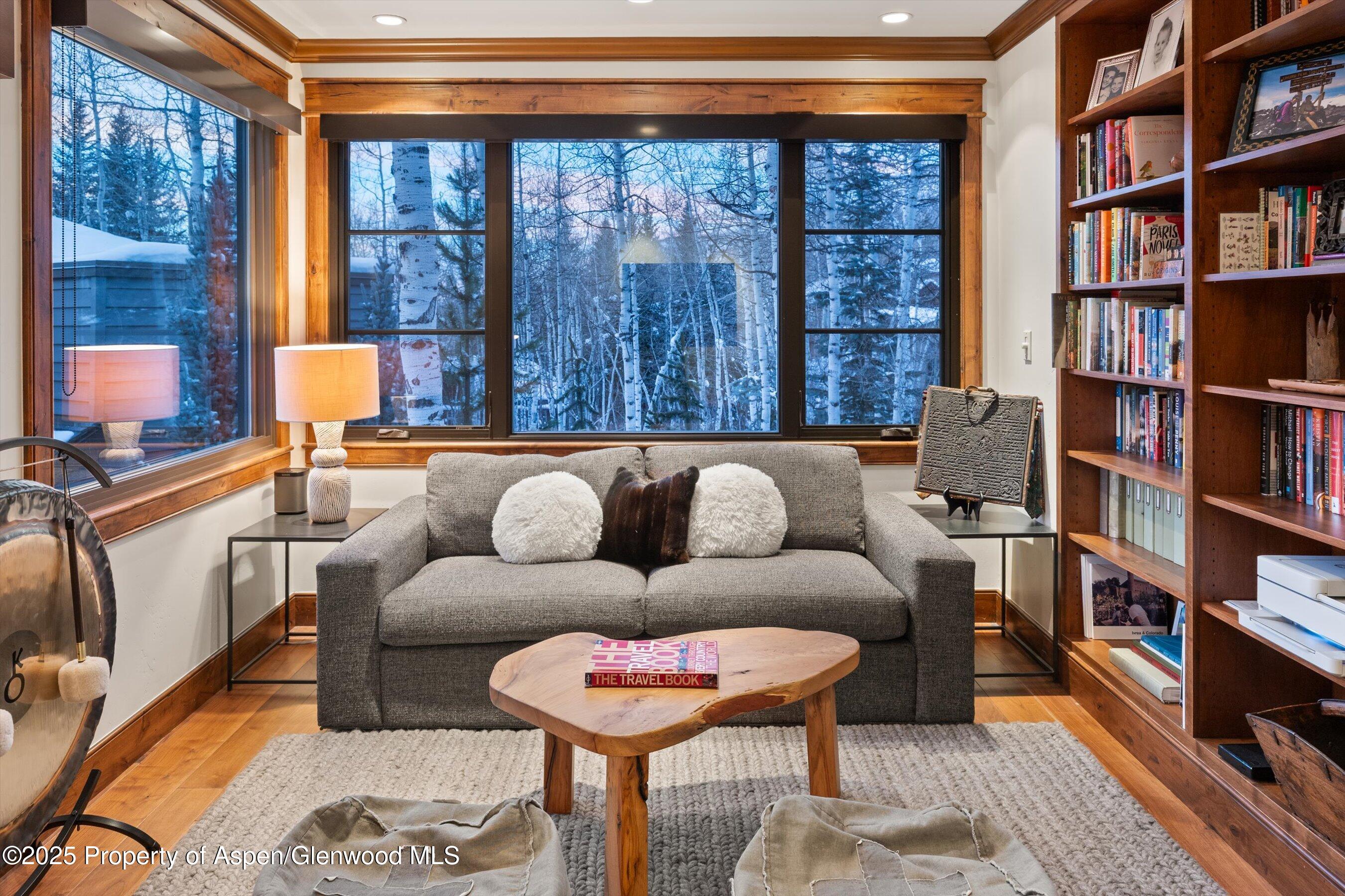 1345 Mayflower Court Aspen CO 81611