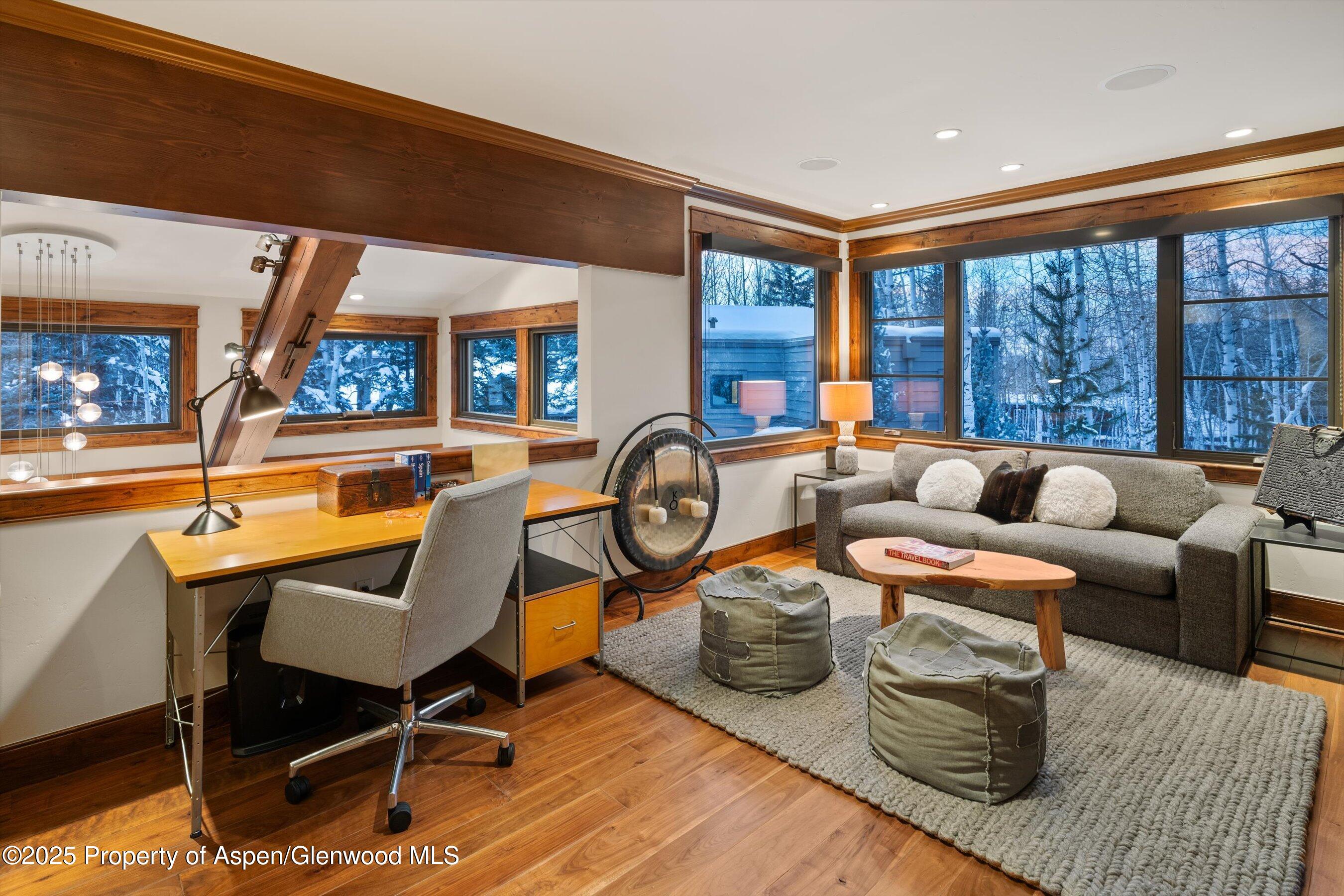 1345 Mayflower Court Aspen CO 81611