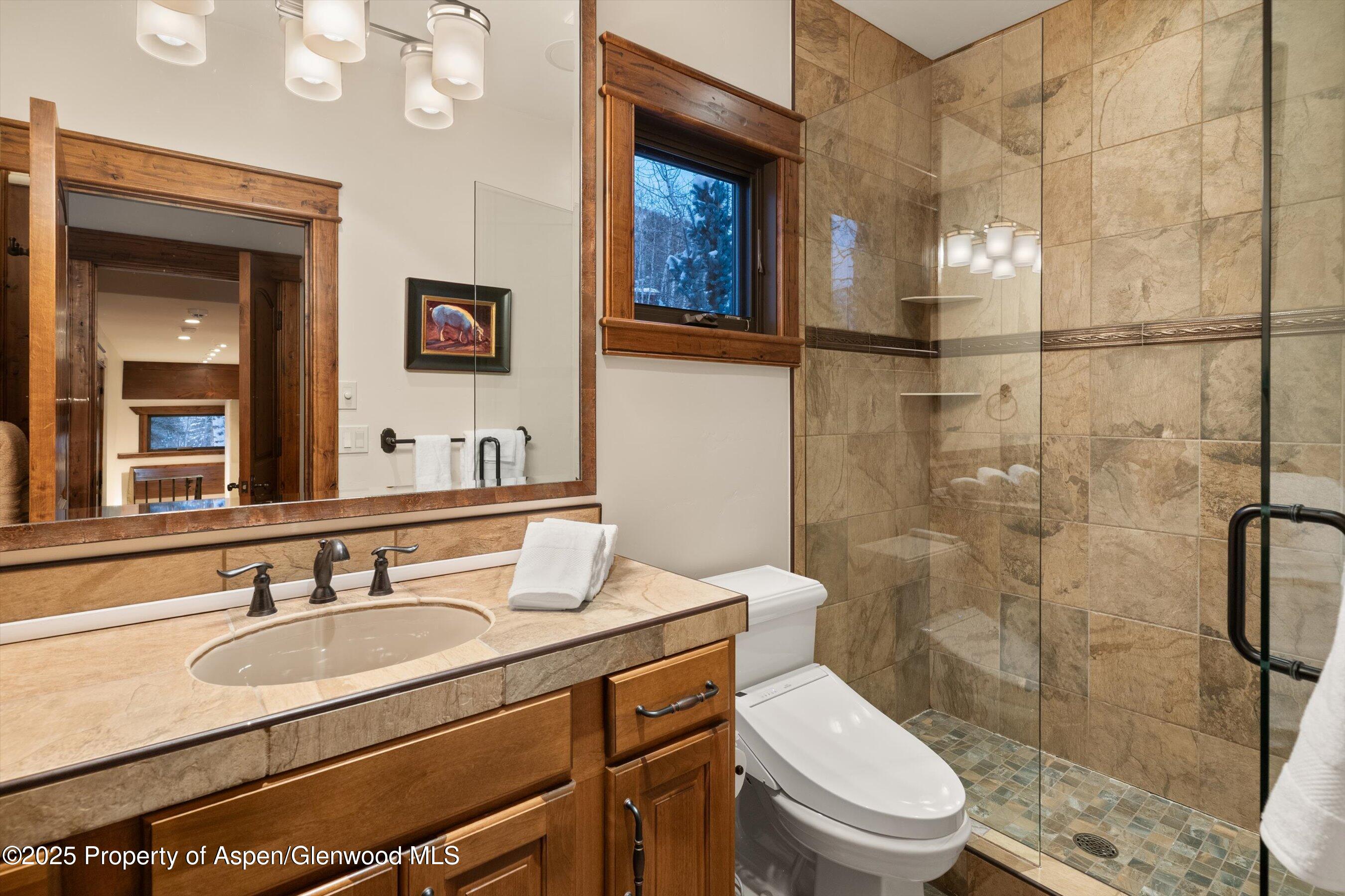 1345 Mayflower Court Aspen CO 81611