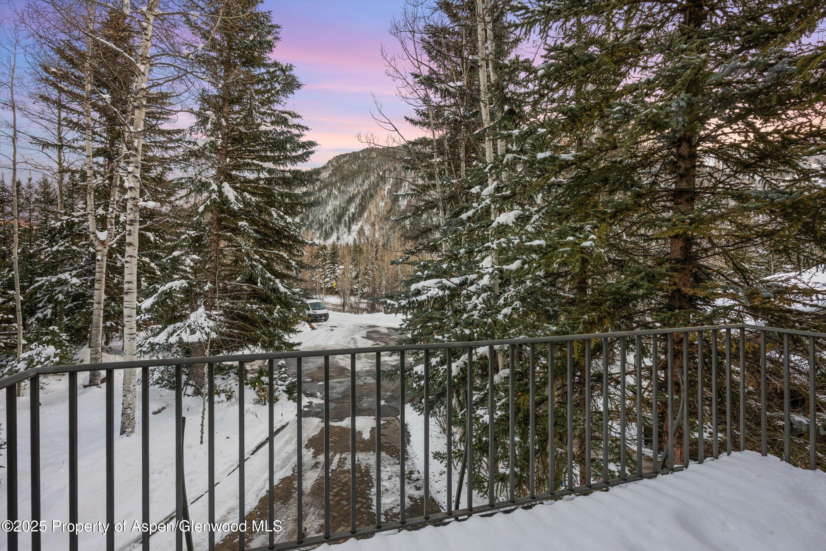 1345 Mayflower Court Aspen CO 81611