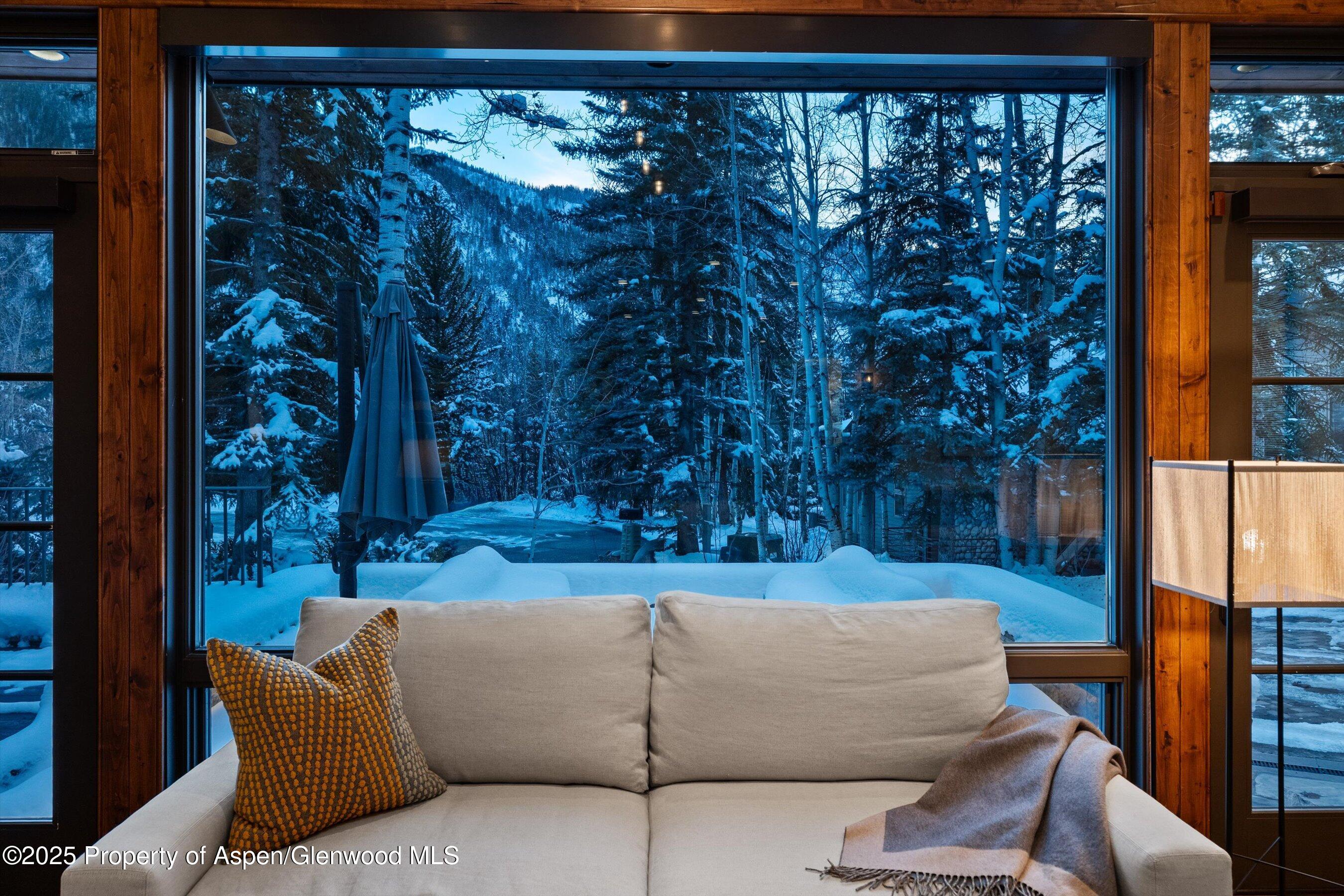 1345 Mayflower Court Aspen CO 81611