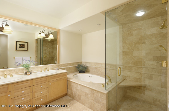 509 Race Street Aspen CO 81611