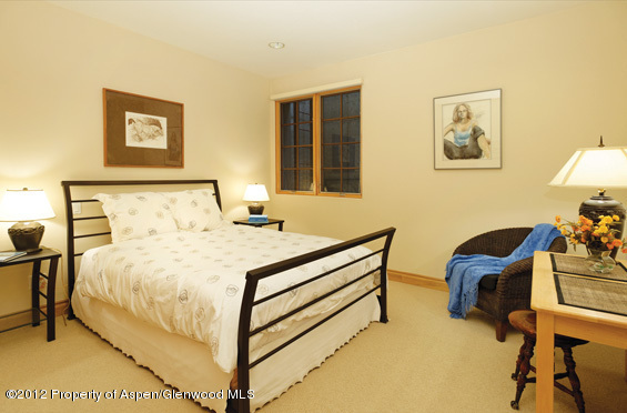 509 Race Street Aspen CO 81611