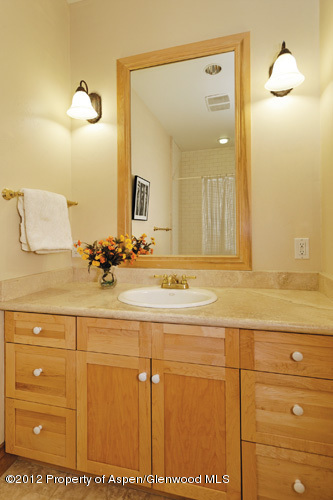 509 Race Street Aspen CO 81611