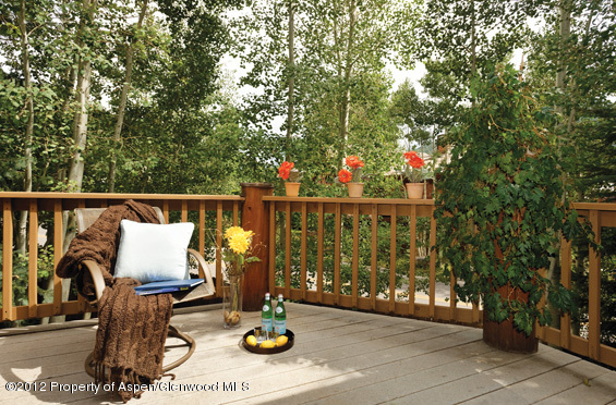 509 Race Street Aspen CO 81611