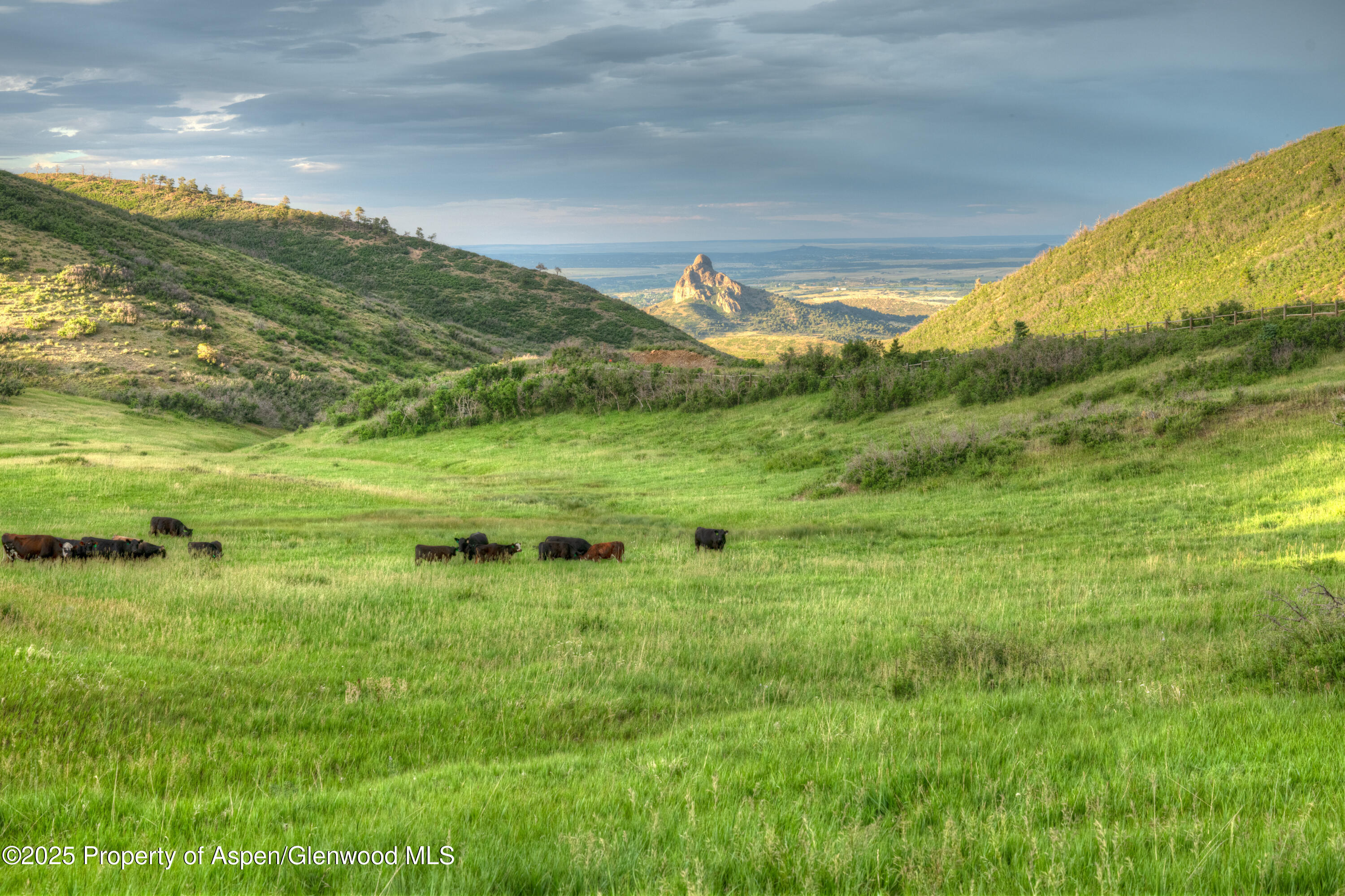 850 Rilling Canyon Road La Veta CO 81055