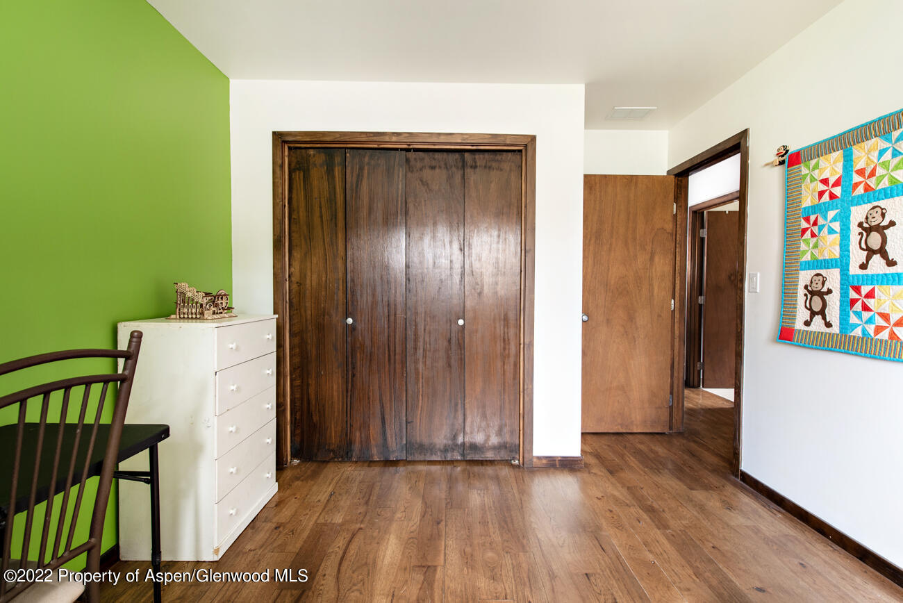 318 Badger Road Carbondale CO 81623
