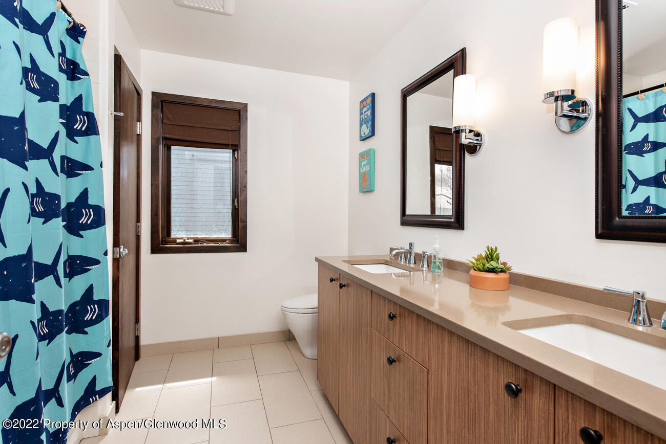 318 Badger Road Carbondale CO 81623