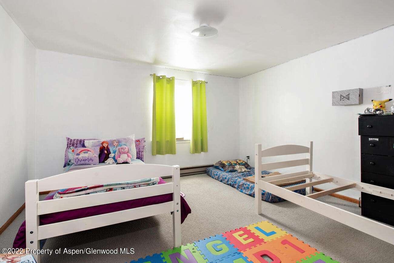 318 Badger Road Carbondale CO 81623