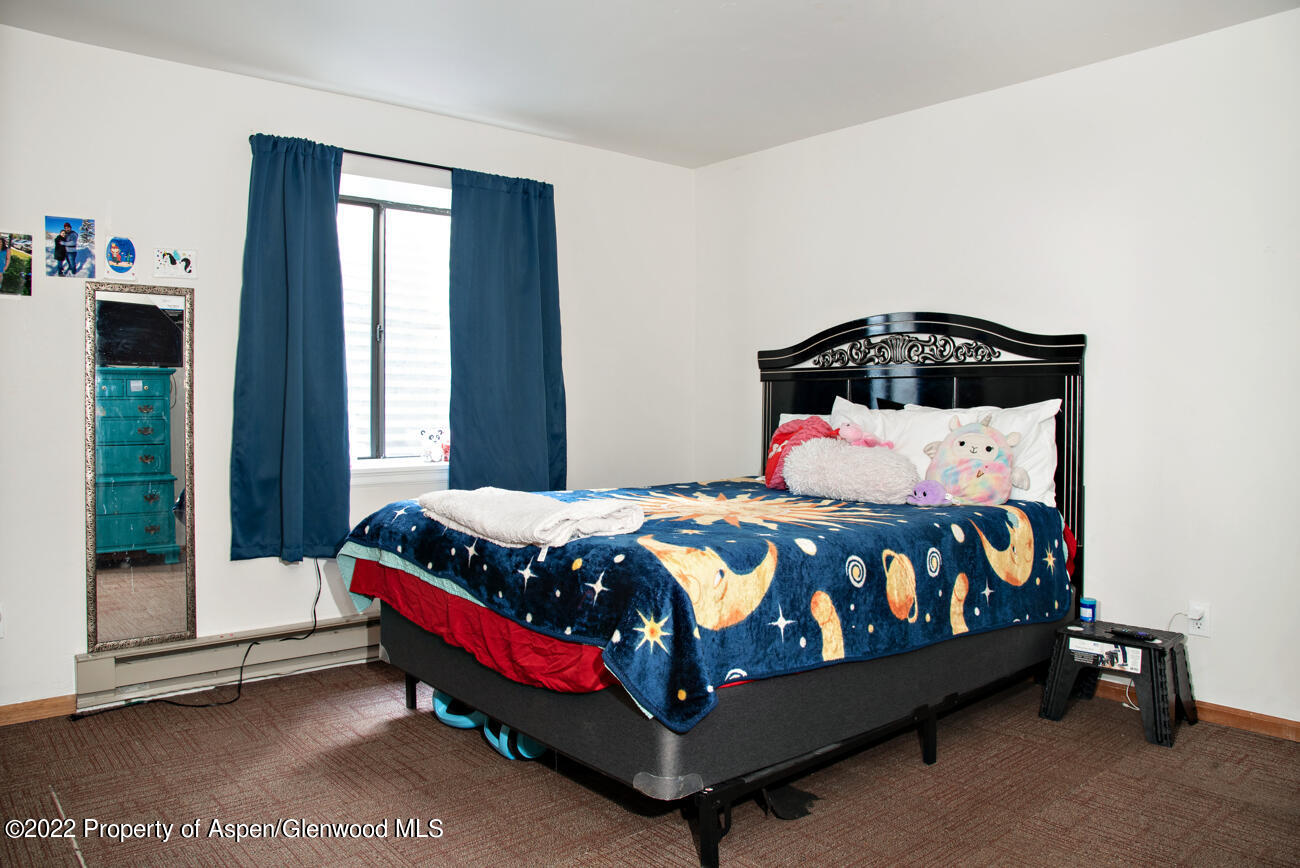 318 Badger Road Carbondale CO 81623
