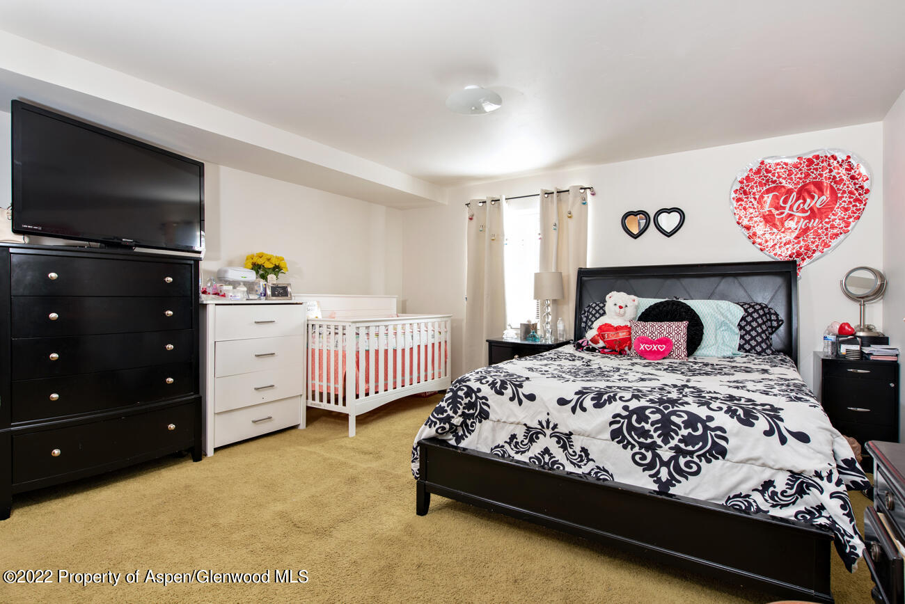 318 Badger Road Carbondale CO 81623