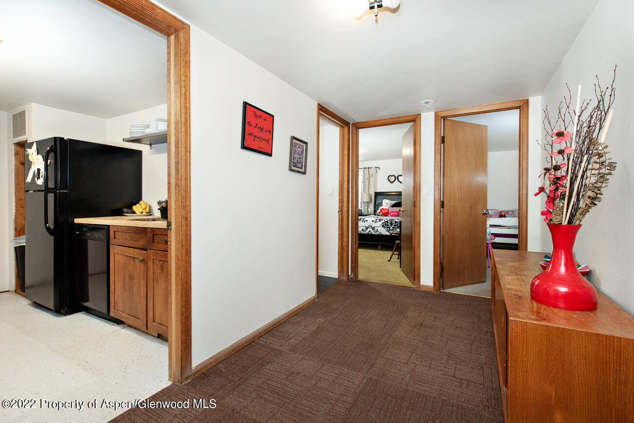318 Badger Road Carbondale CO 81623