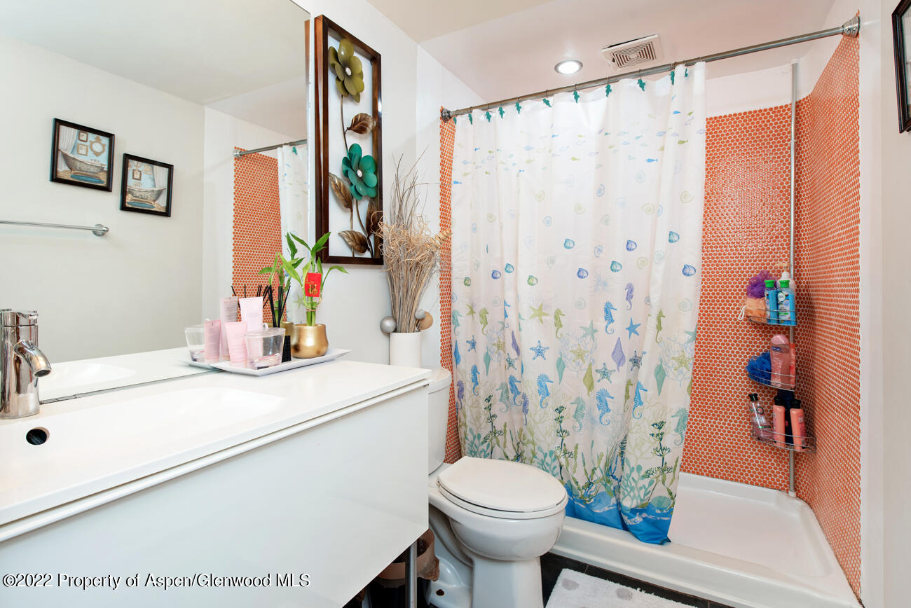 318 Badger Road Carbondale CO 81623