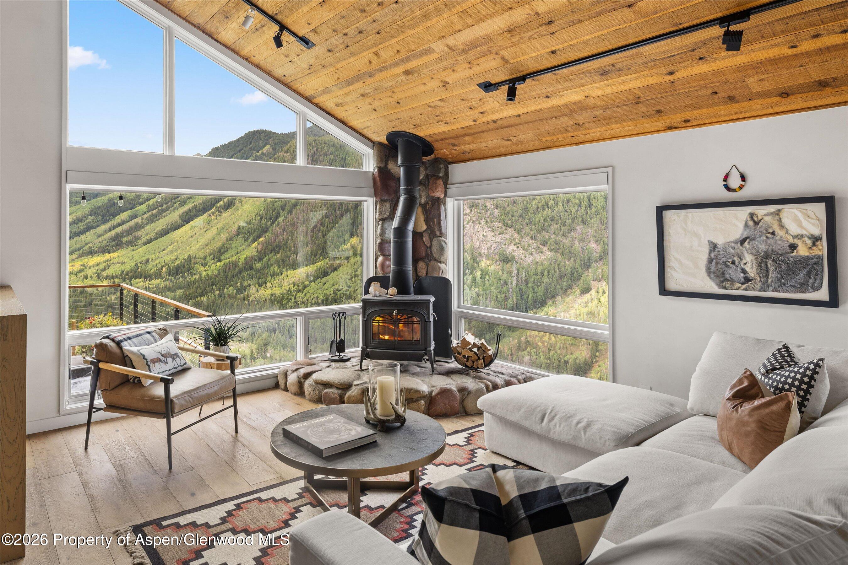 941 Little Annie Road Aspen CO 81612