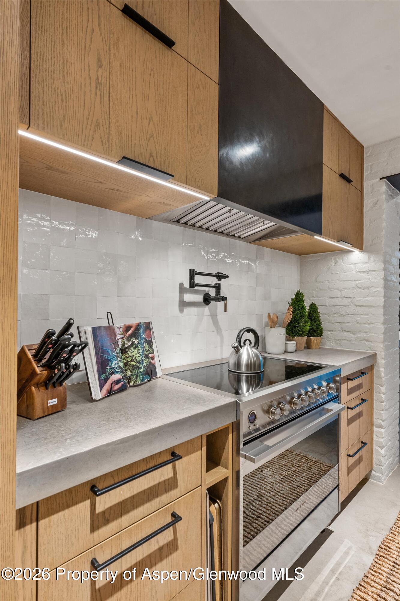941 Little Annie Road Aspen CO 81612
