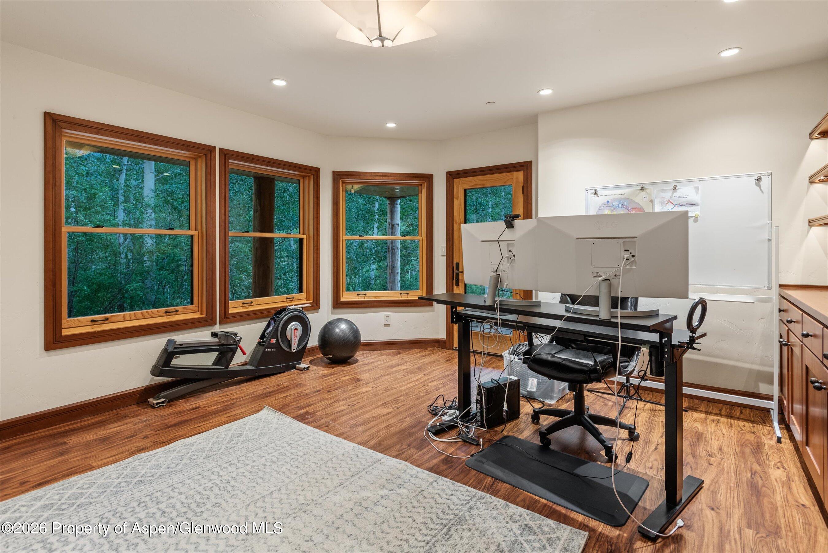 335 Hall Drive Aspen CO 81611