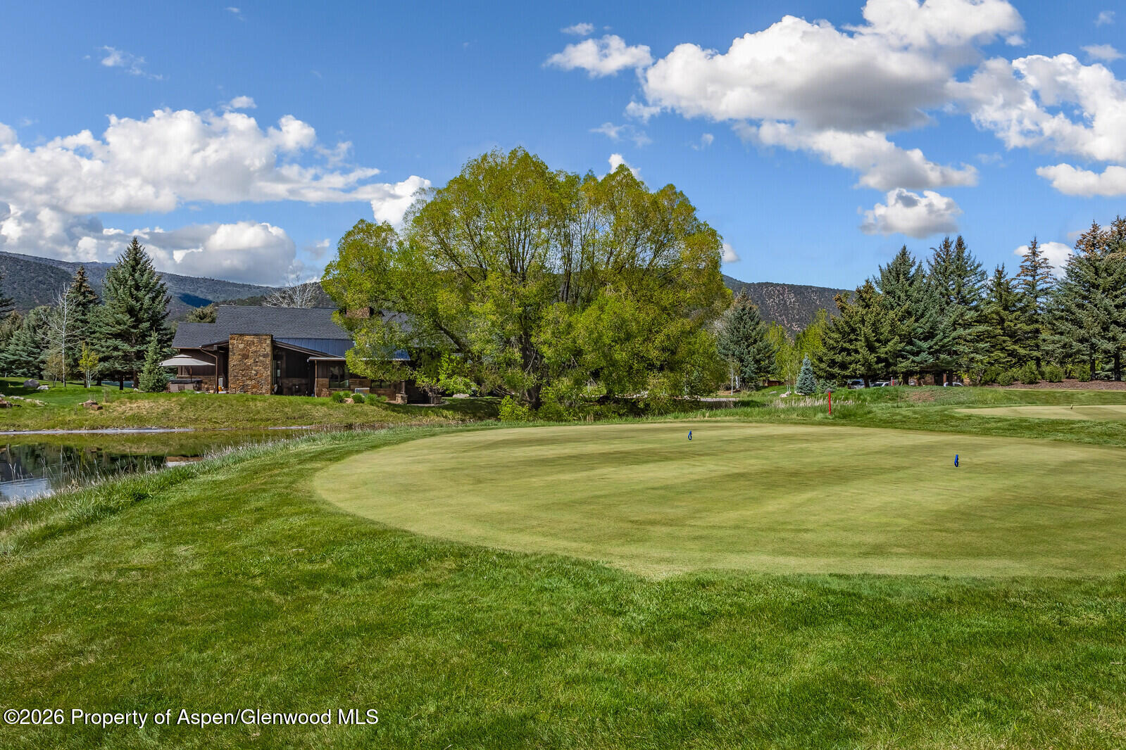 38 E Diamond A Ranch Road Carbondale CO 81623