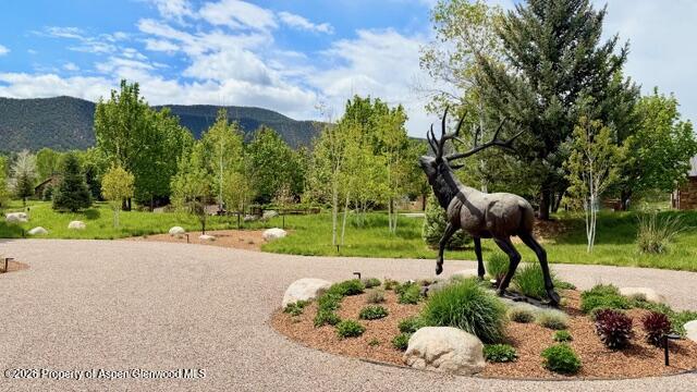 38 E Diamond A Ranch Road Carbondale CO 81623