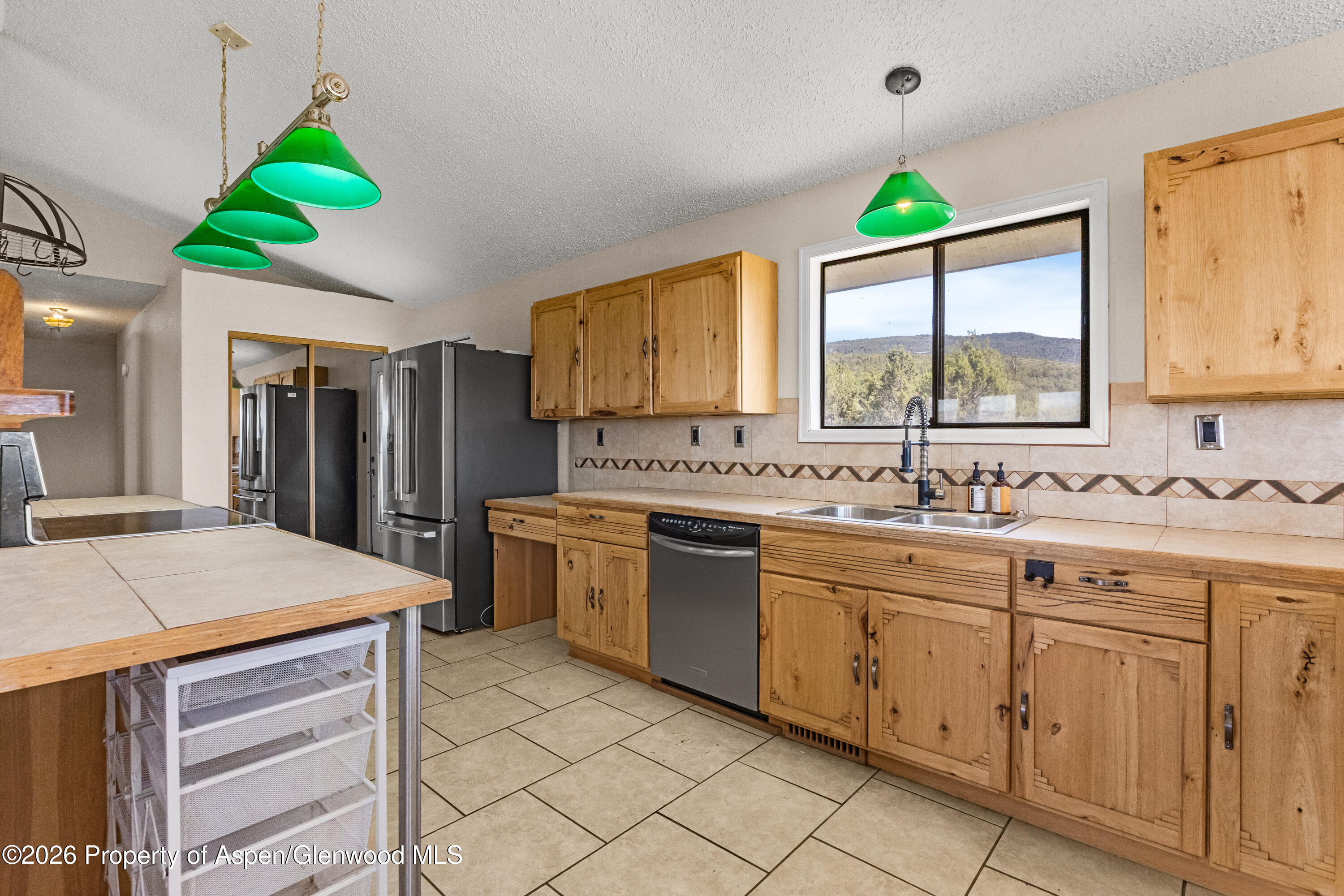 49991 Eagles Way Mesa CO 81643