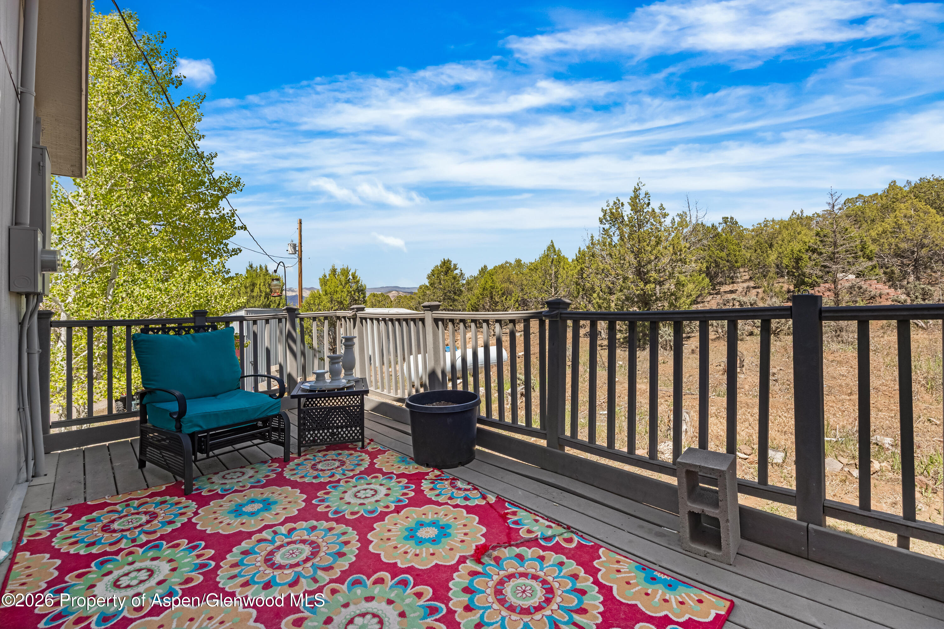 49991 Eagles Way Mesa CO 81643