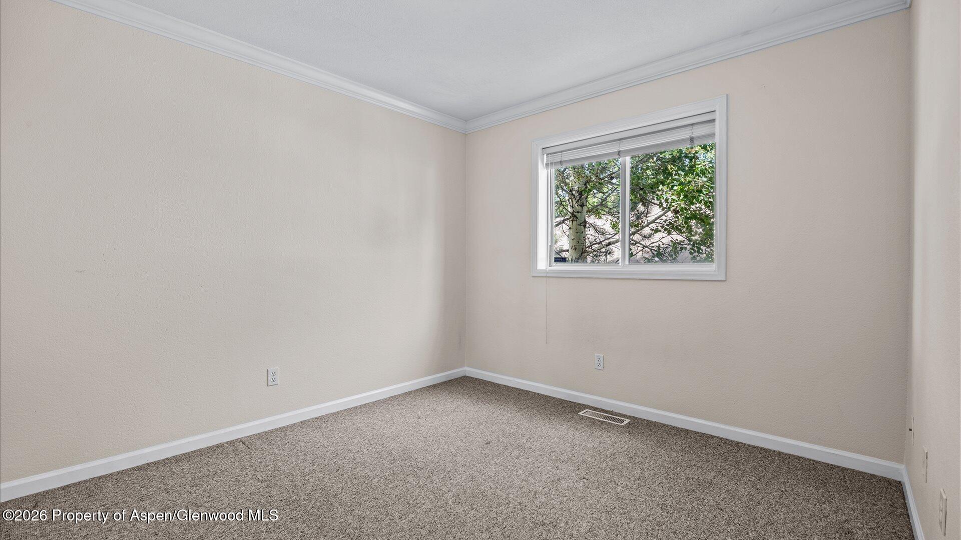 252 Lupine Drive New Castle CO 81647
