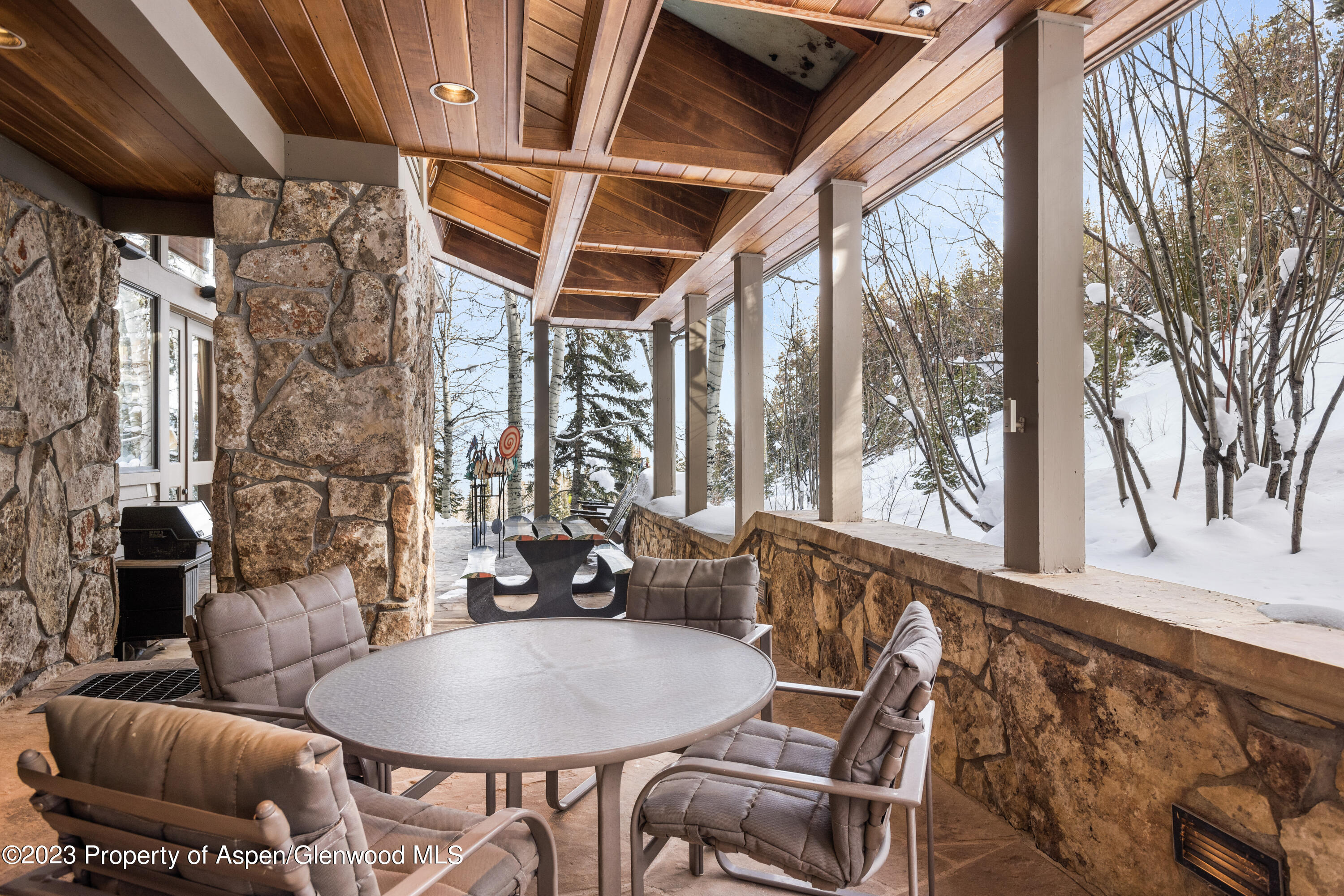 114 Pine Lane Snowmass Village CO 81615