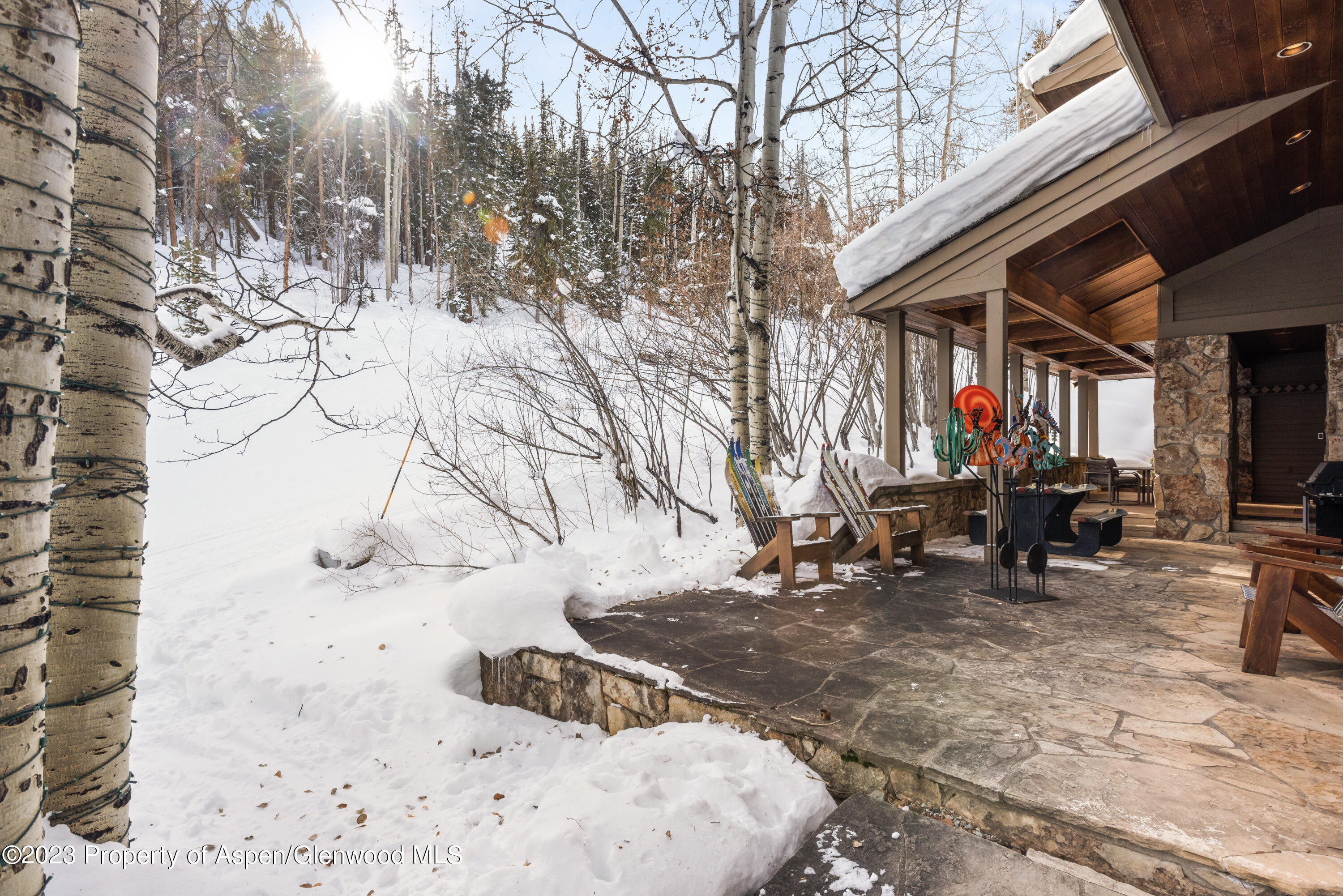 114 Pine Lane Snowmass Village CO 81615