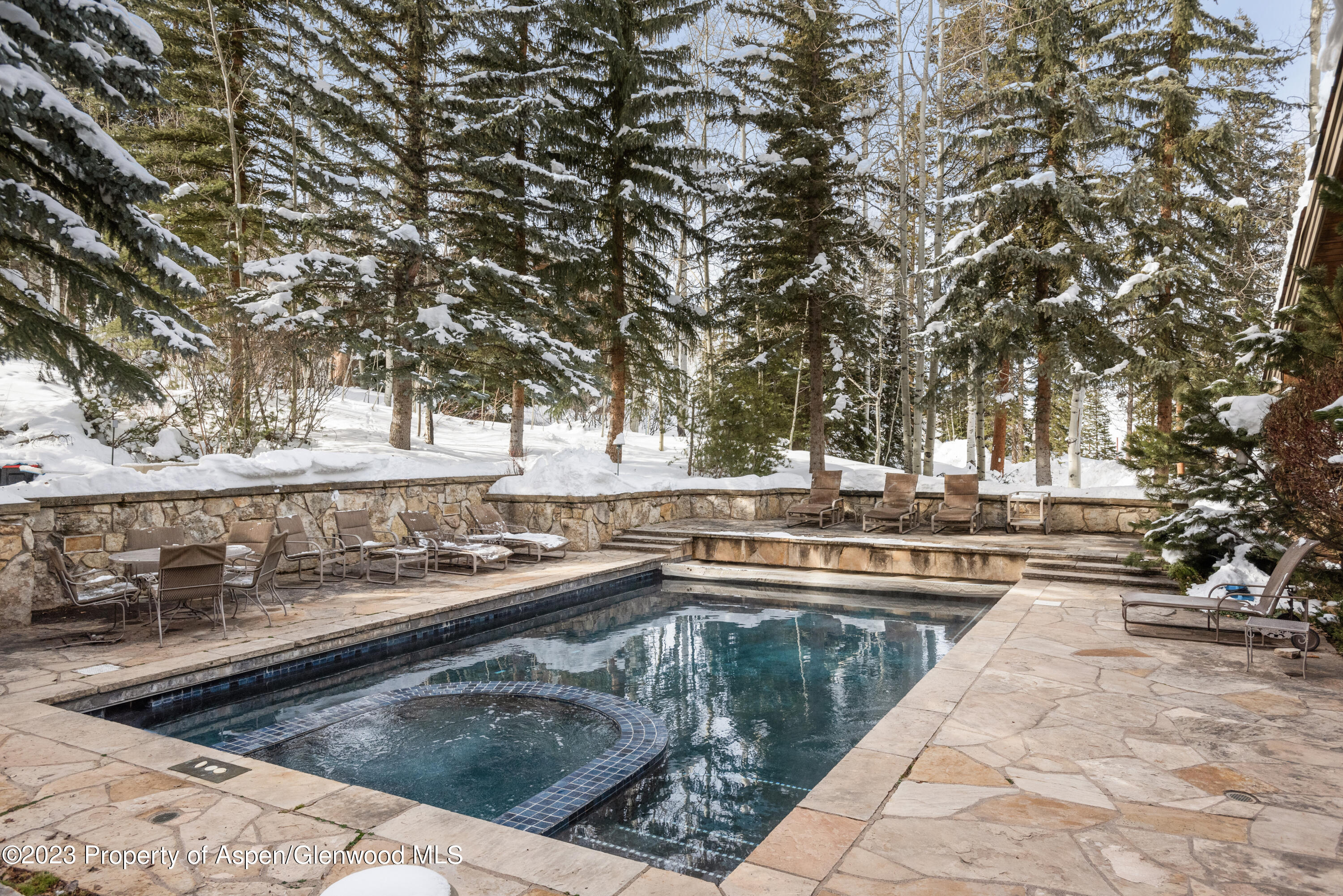 114 Pine Lane Snowmass Village CO 81615