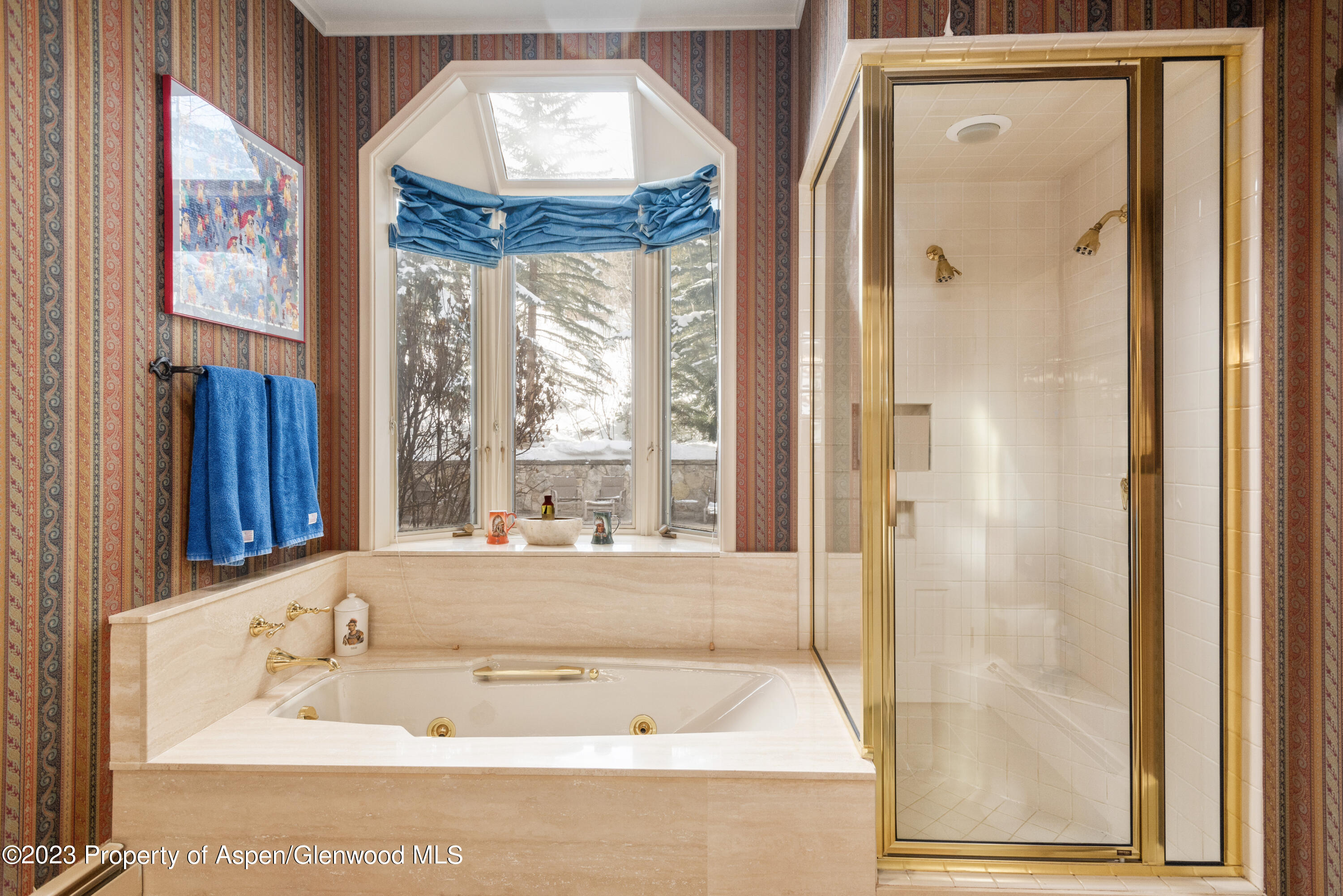 114 Pine Lane Snowmass Village CO 81615