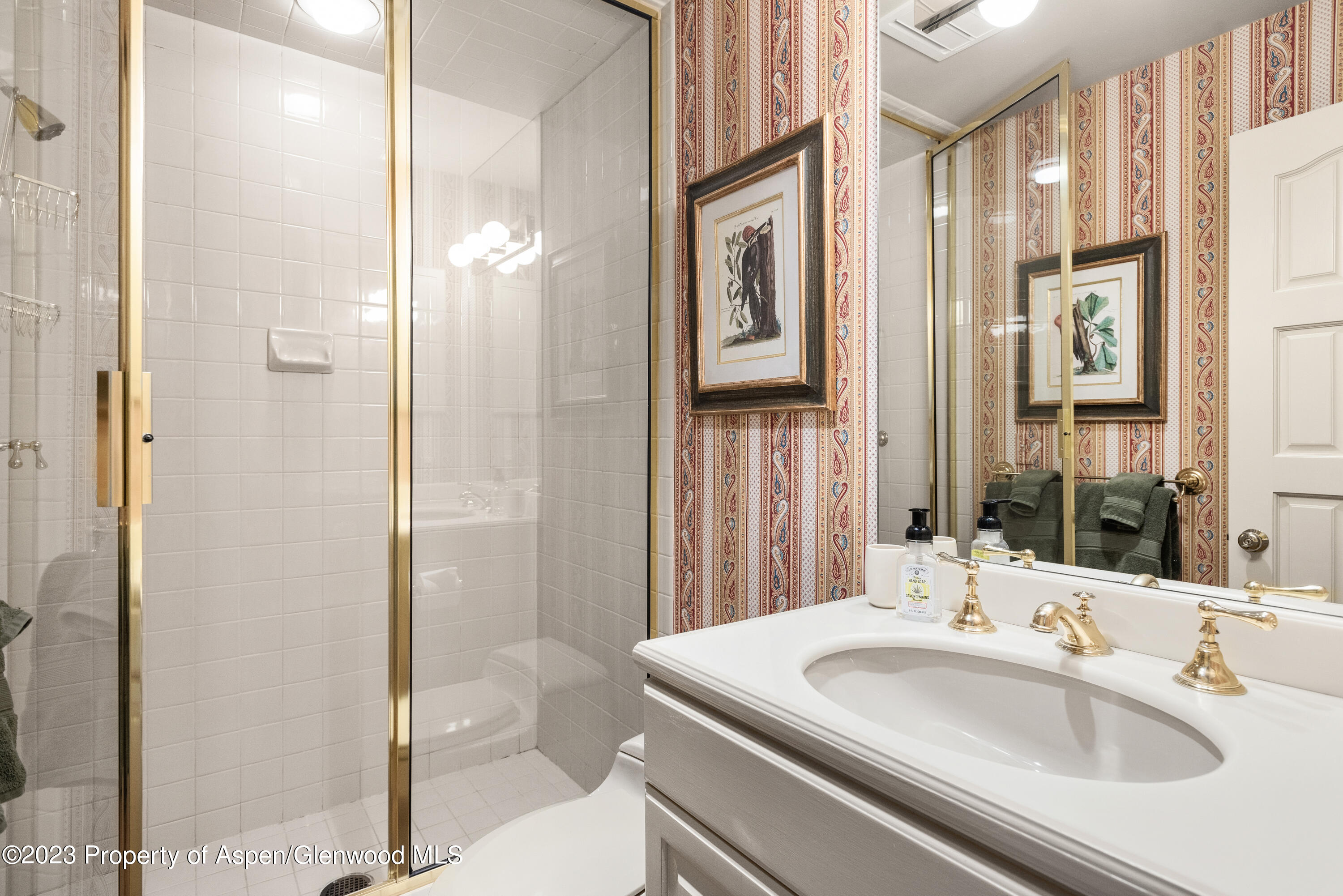 114 Pine Lane Snowmass Village CO 81615