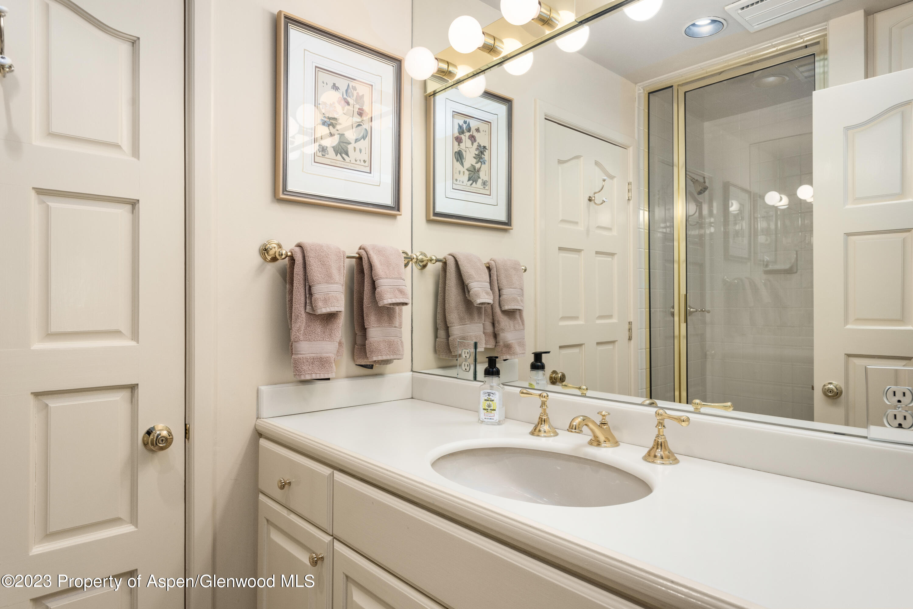 114 Pine Lane Snowmass Village CO 81615