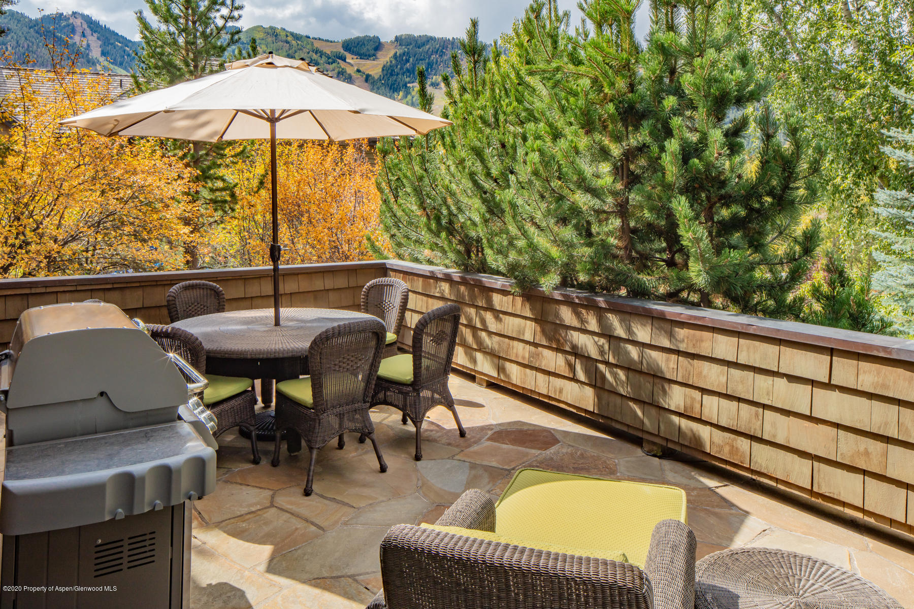 155 Miners Trail Road Aspen CO 81611