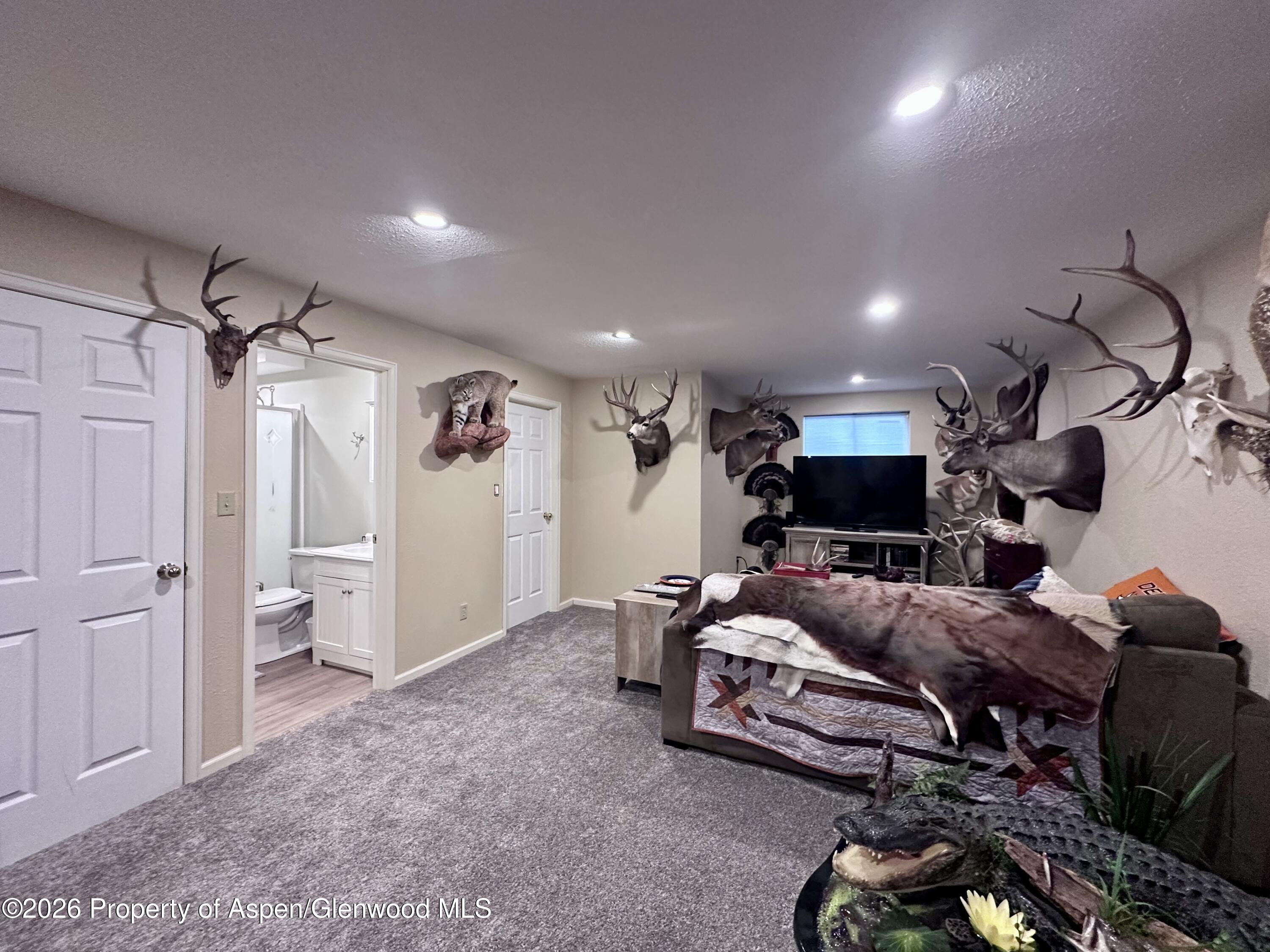 15 Harmony Way Silt CO 81652