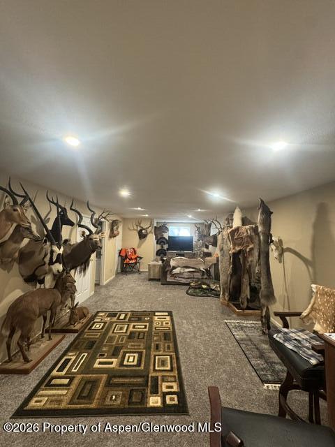 15 Harmony Way Silt CO 81652