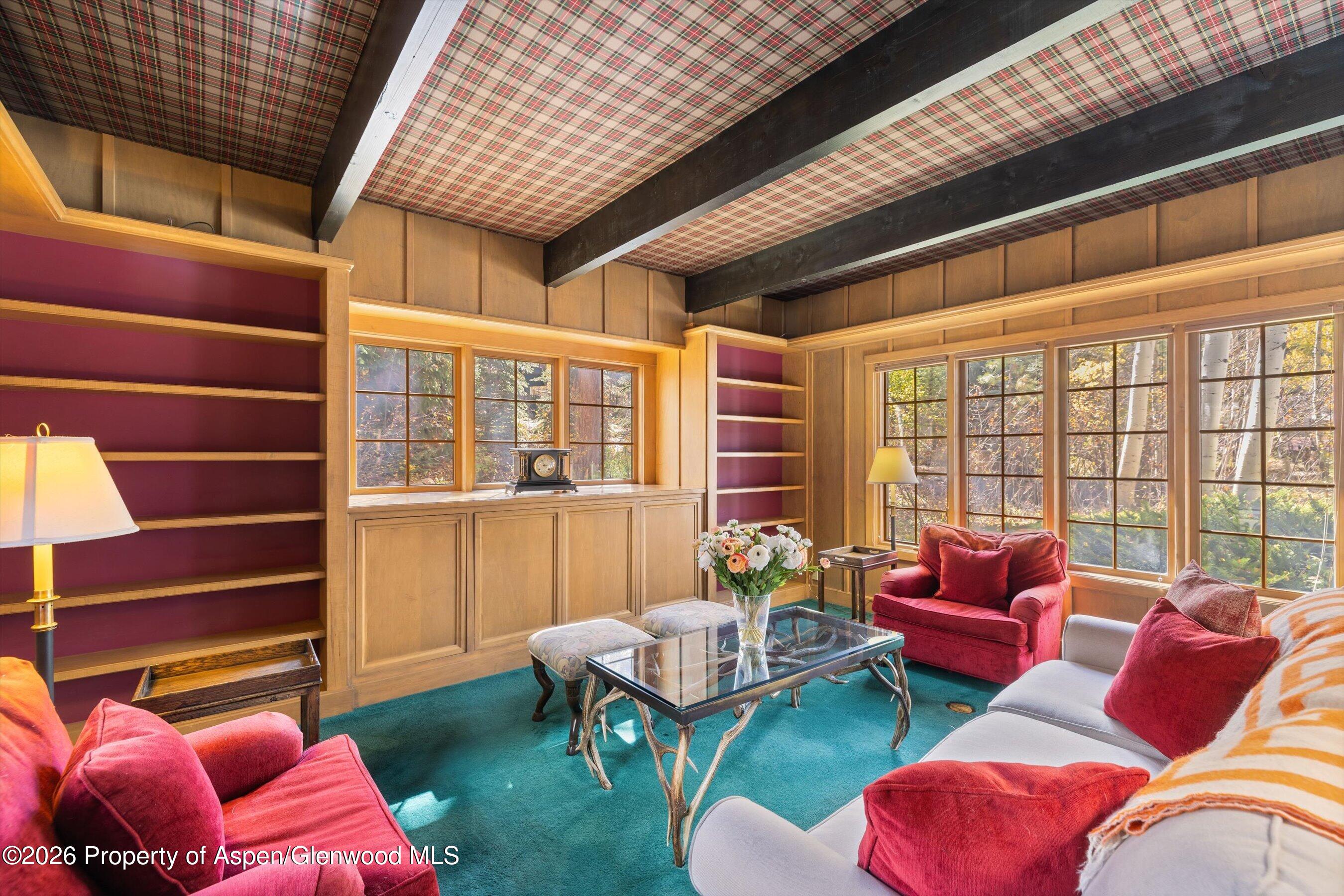 308 Mcskimming Road Aspen CO 81611